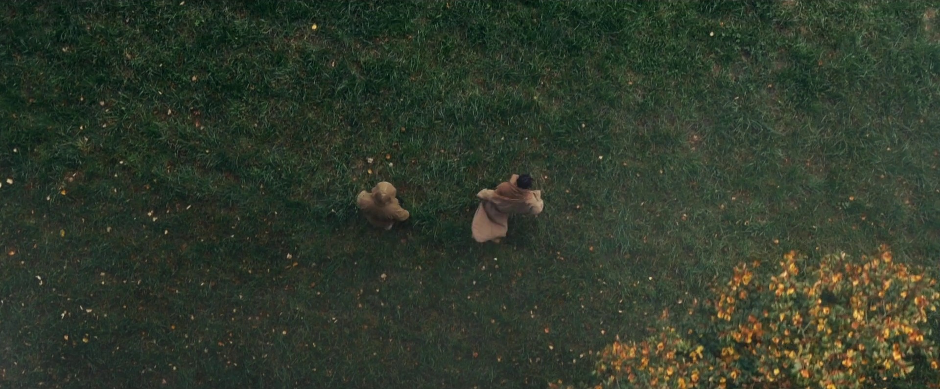 Piss On Your Grave (2015) —  shot,  lighting