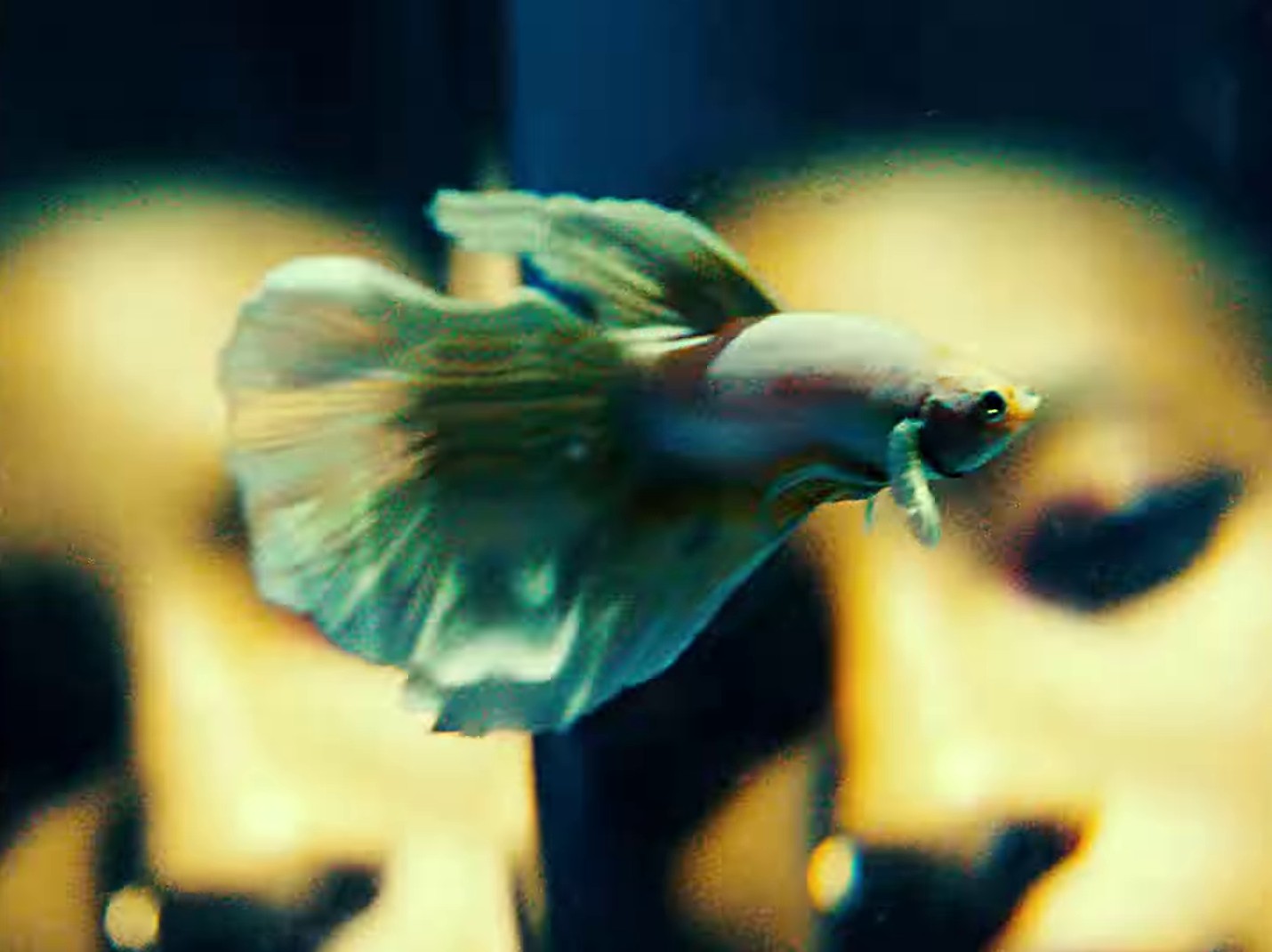 Where you are (2022) —  shot,  lighting