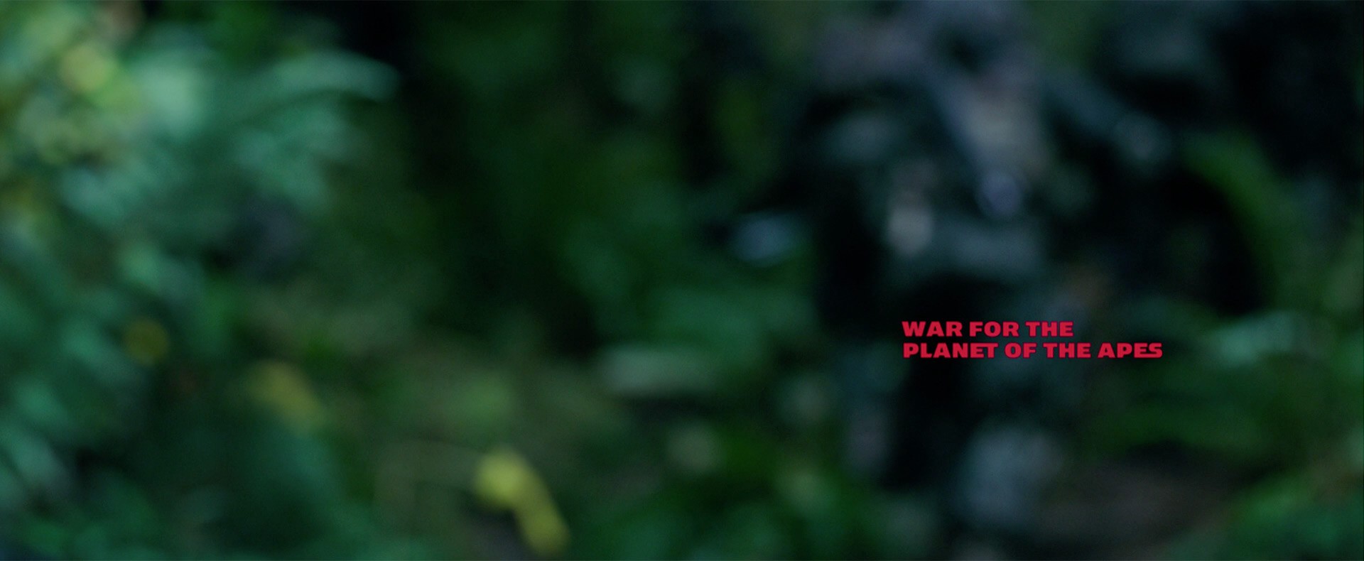 War for the Planet of the Apes (2017) —  shot,  lighting