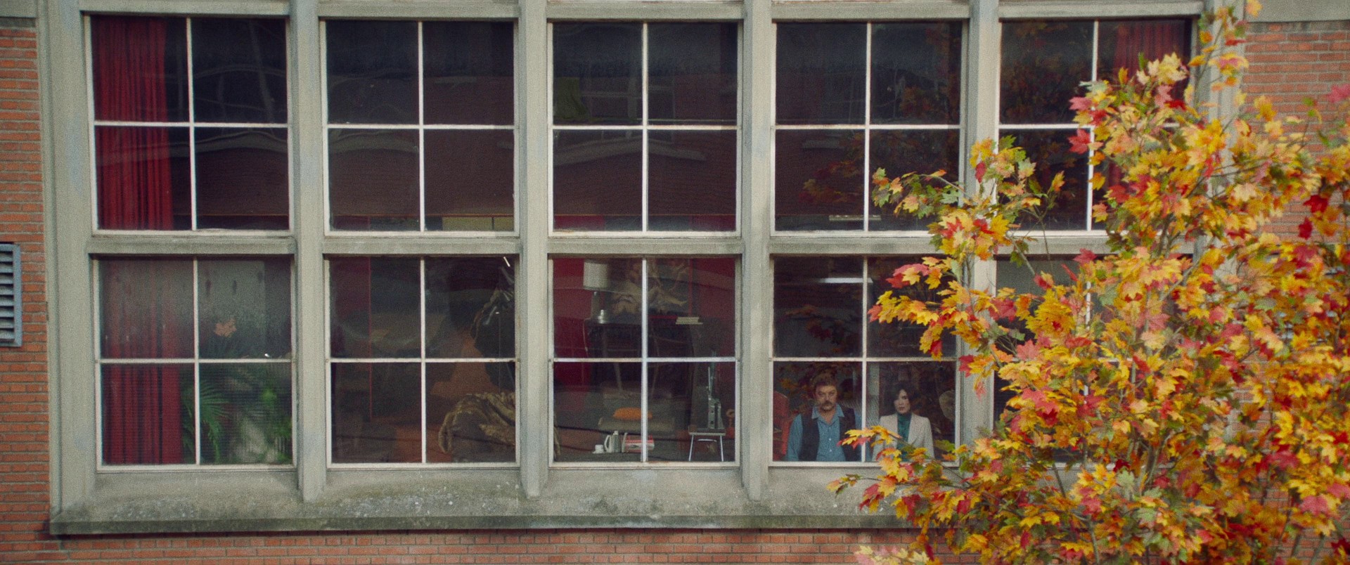 Peter von Kant (2022) —  shot,  lighting