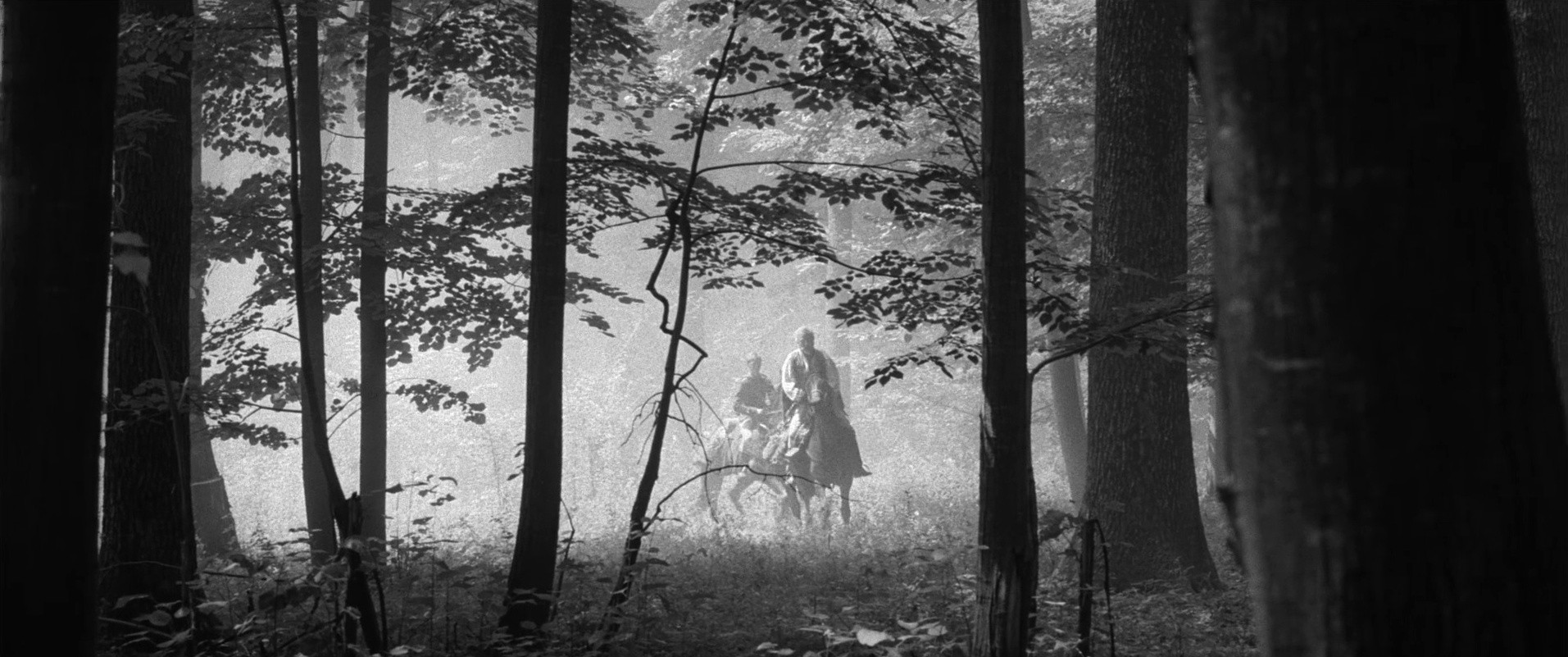 Aferim! (2015) —  shot,  lighting