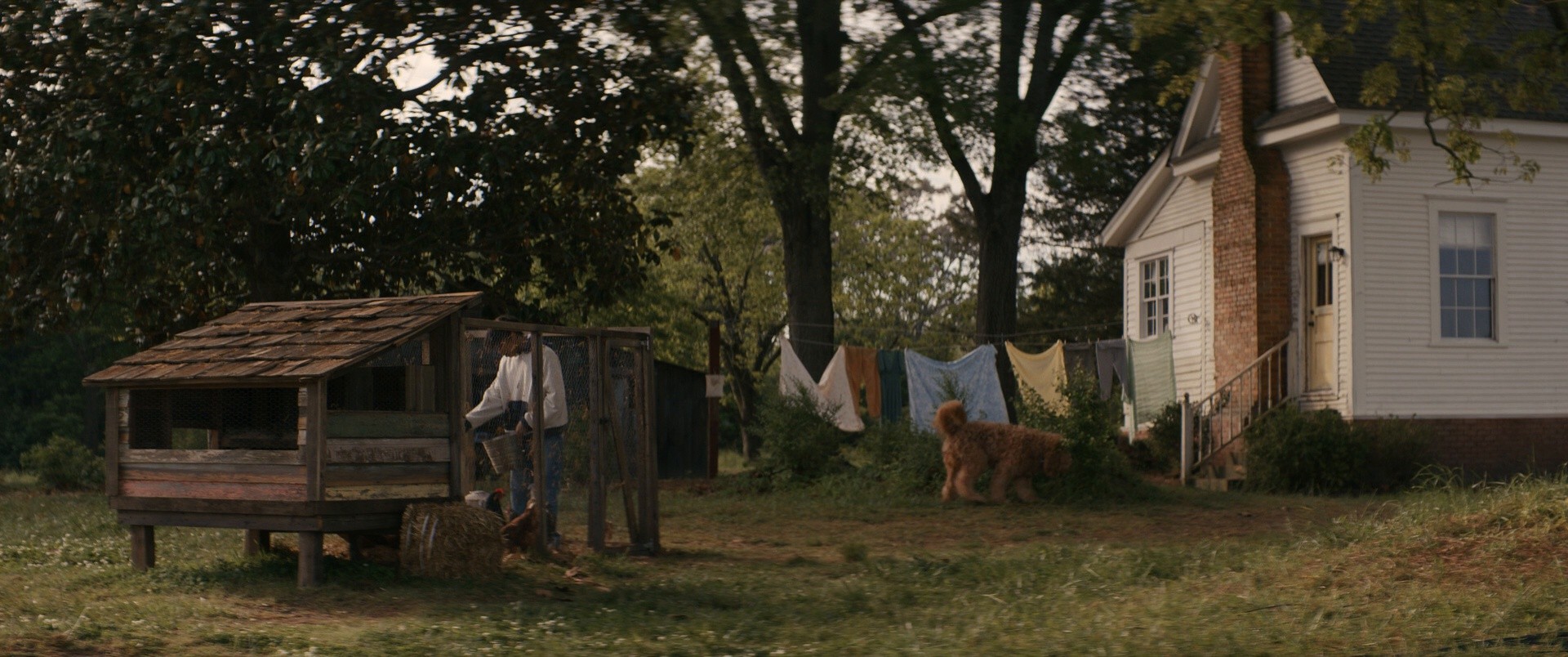 The Woman in the Yard (2025) —  shot,  lighting