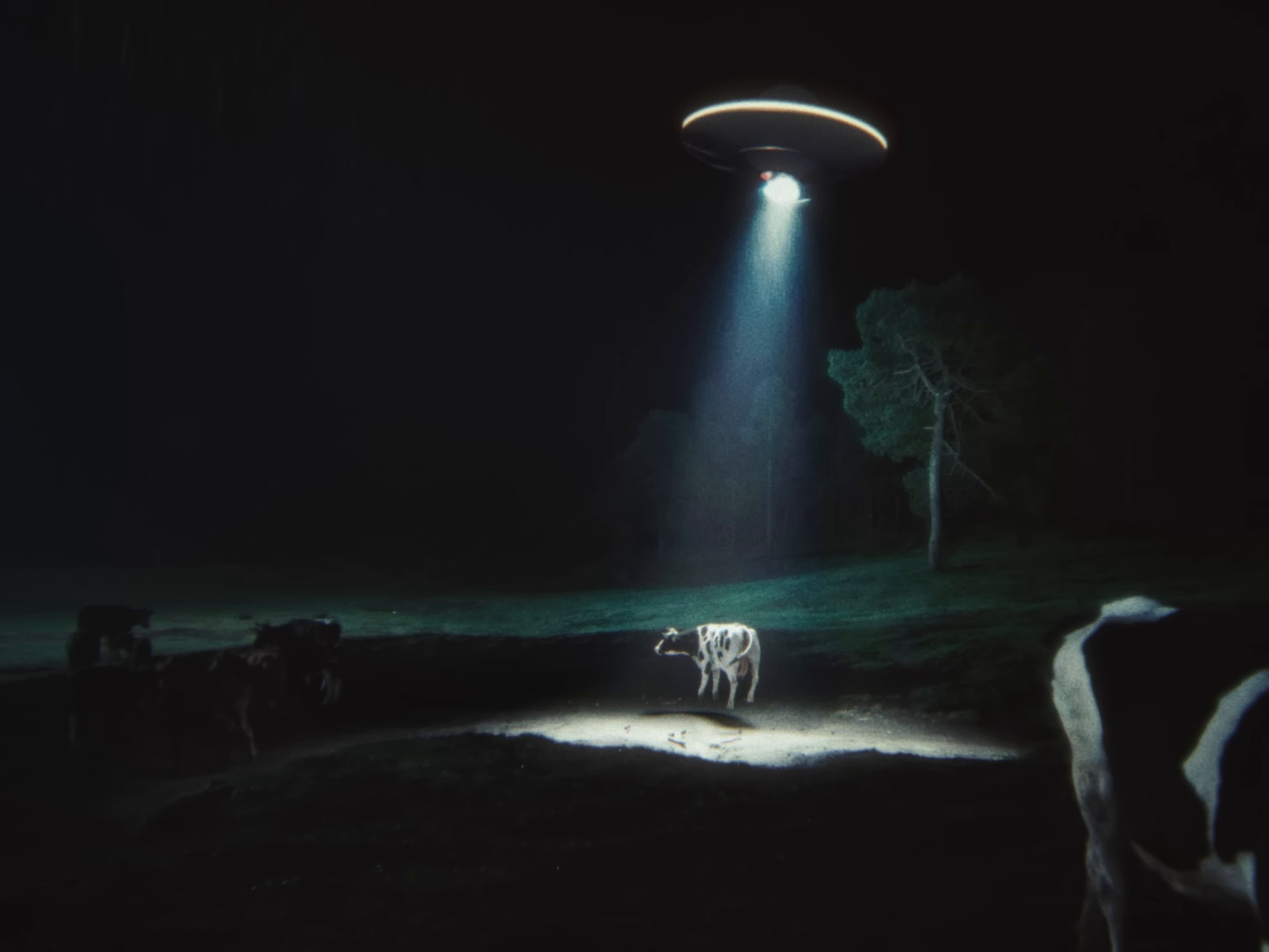 Show Pony (2024) —  shot,  lighting