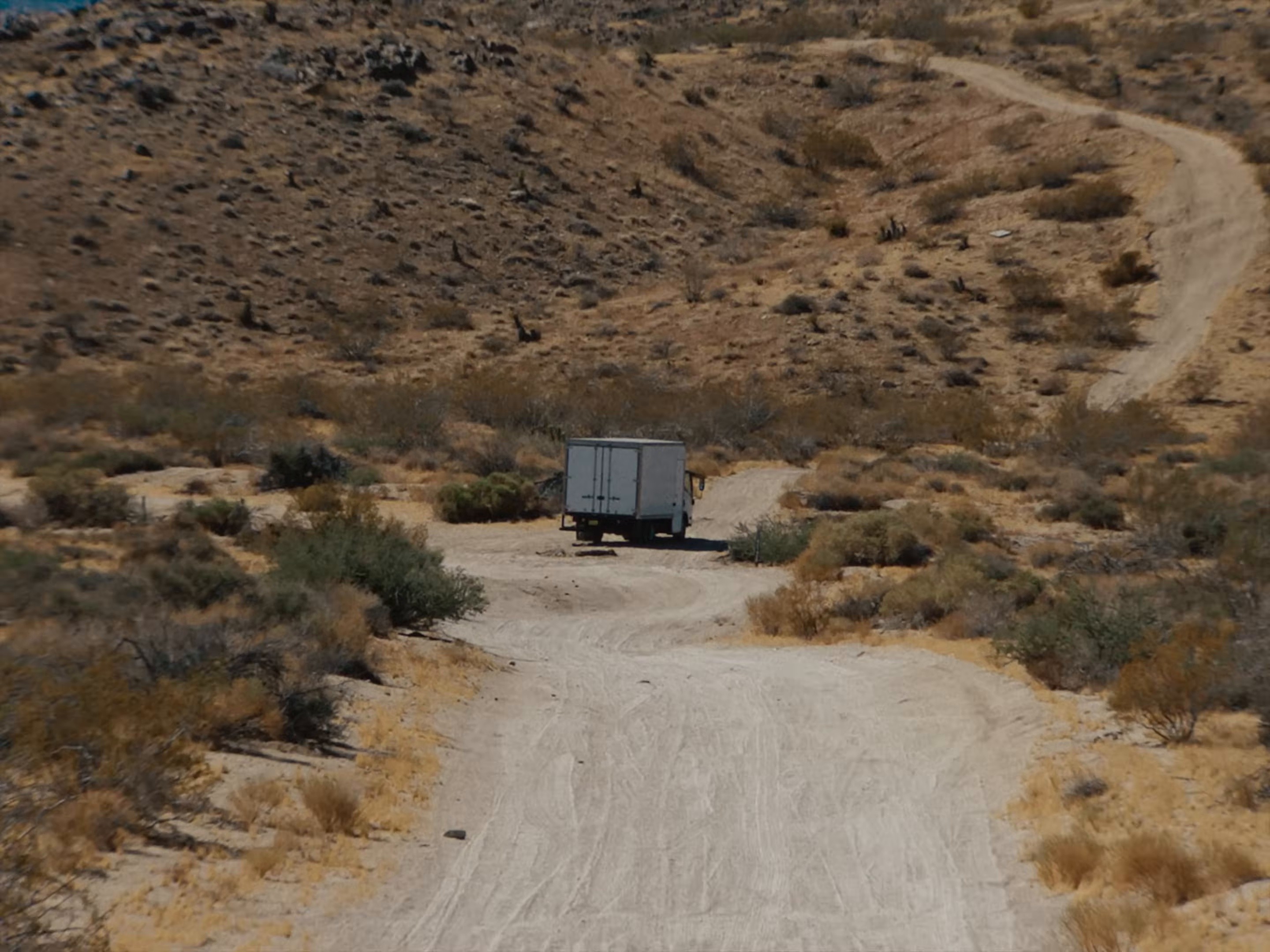 STRONG BECAUSE YOU ARE (2025) —  shot,  lighting