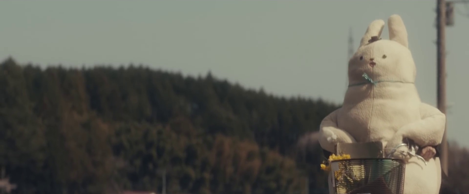 So We Won't Forget  (2020) —  shot,  lighting