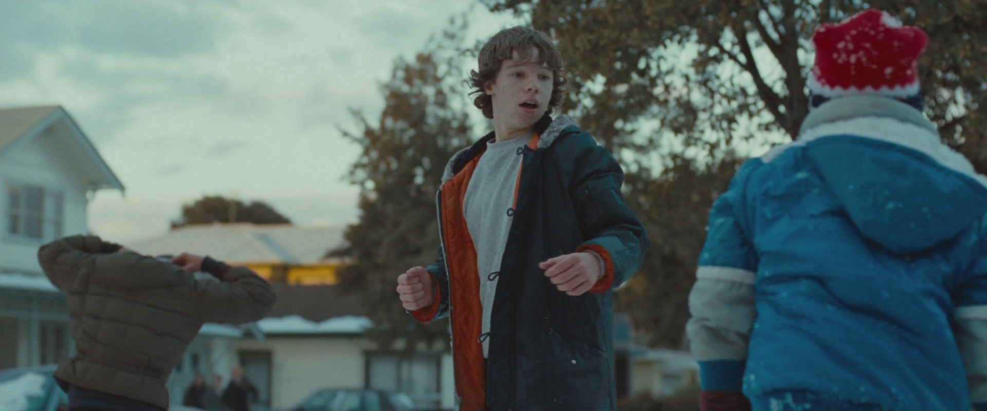 Where the Wild Things Are (2009) —  shot,  lighting