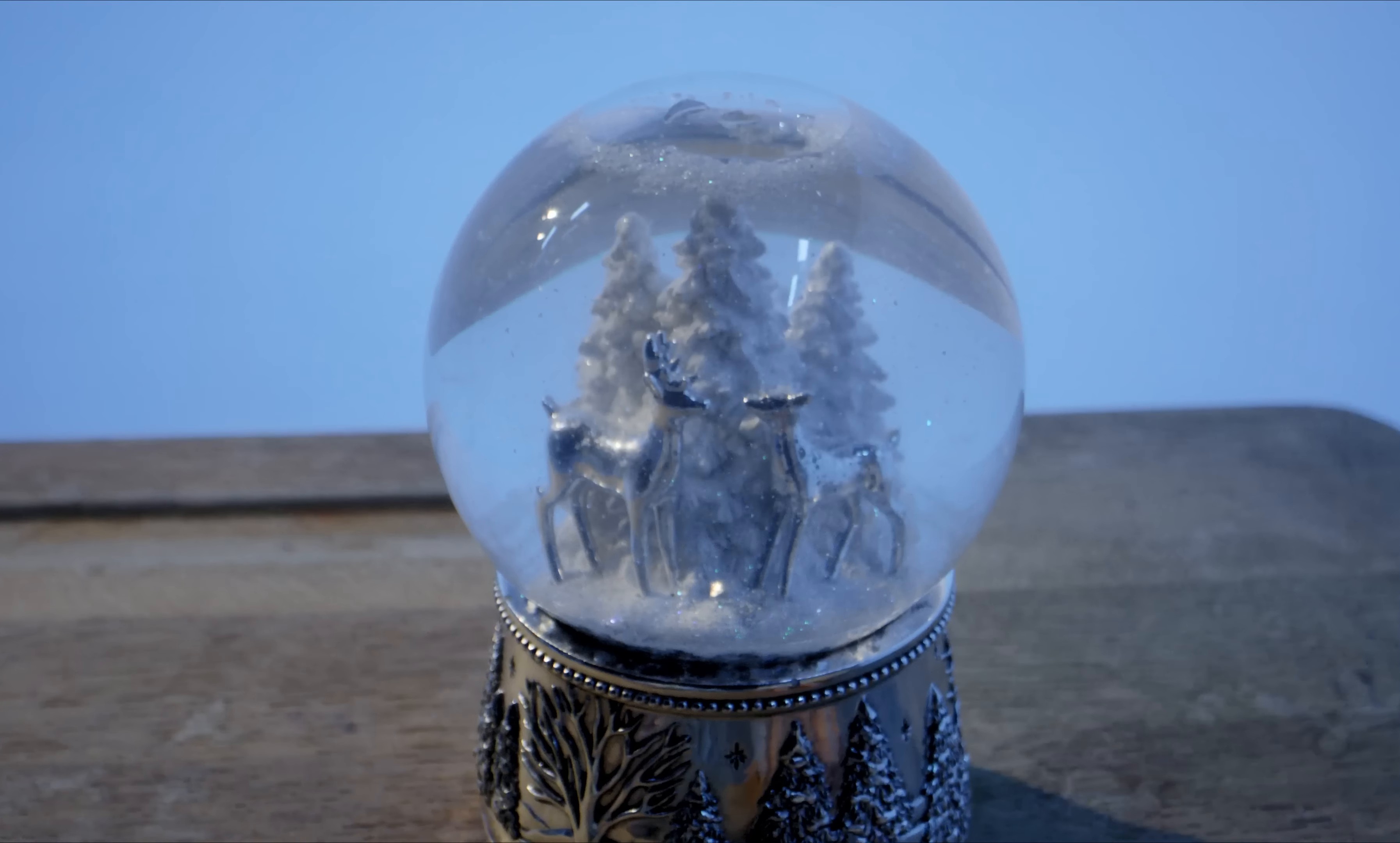 saisons, le film: hiver (2024) —  shot,  lighting