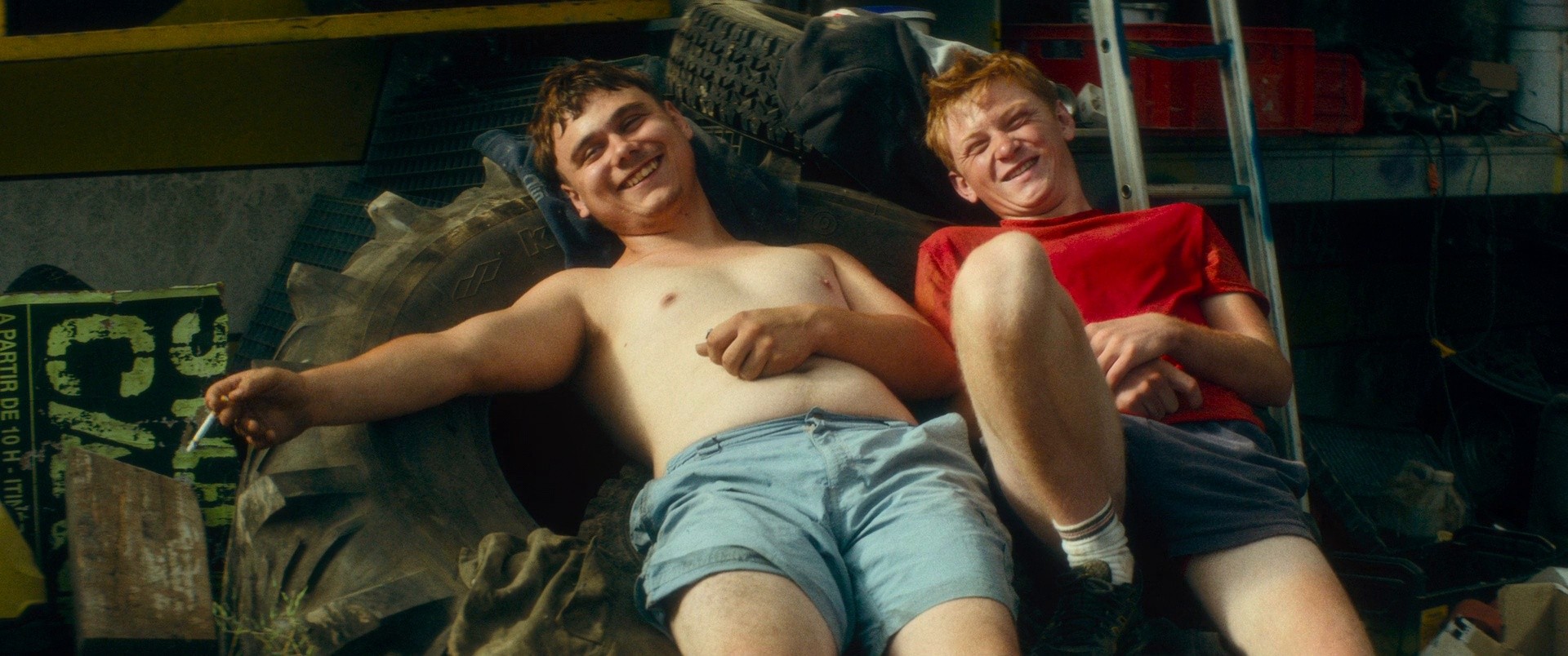 Holy Cow (2025) —  shot,  lighting