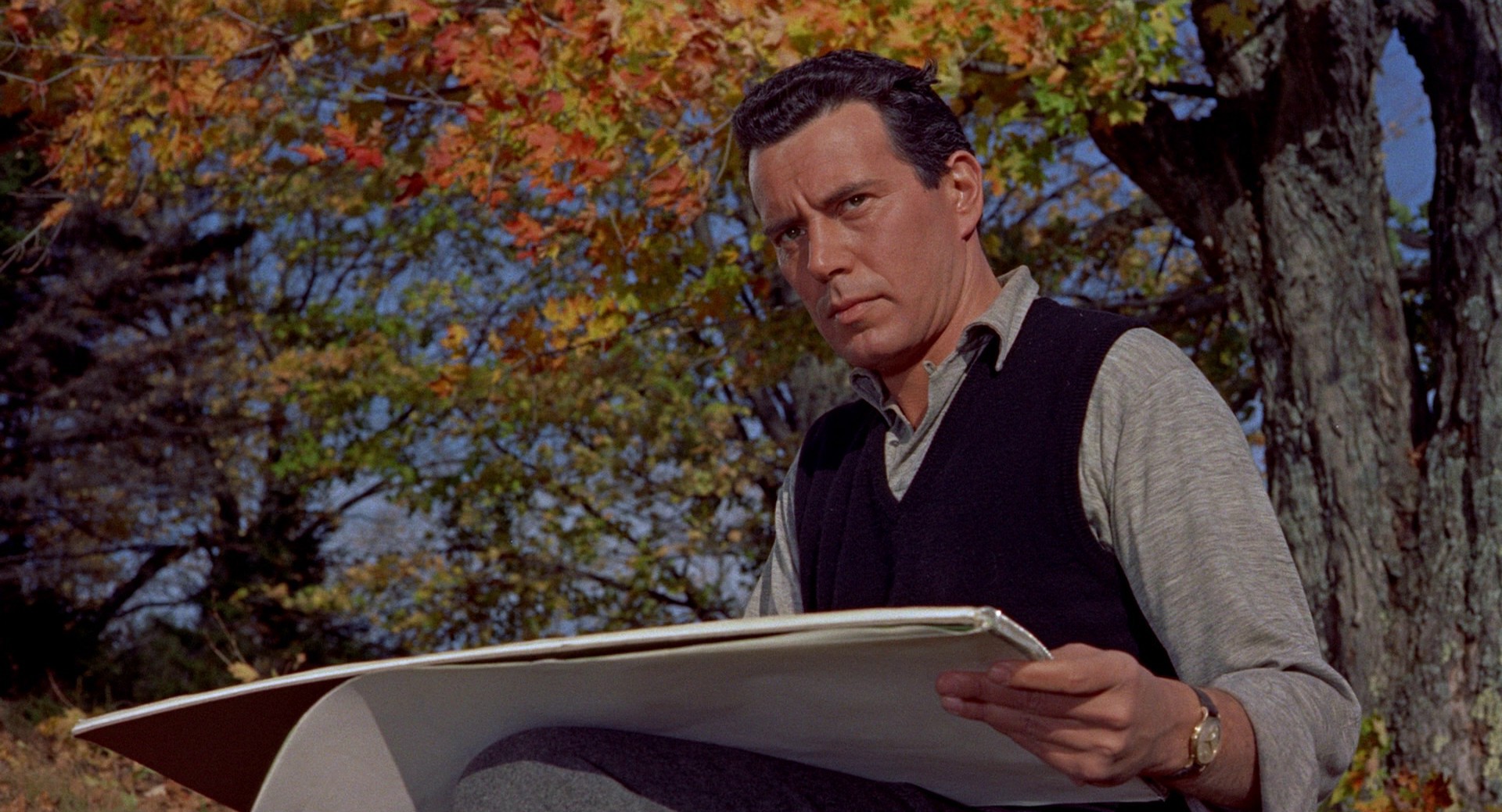 The Trouble with Harry (1955) —  shot,  lighting