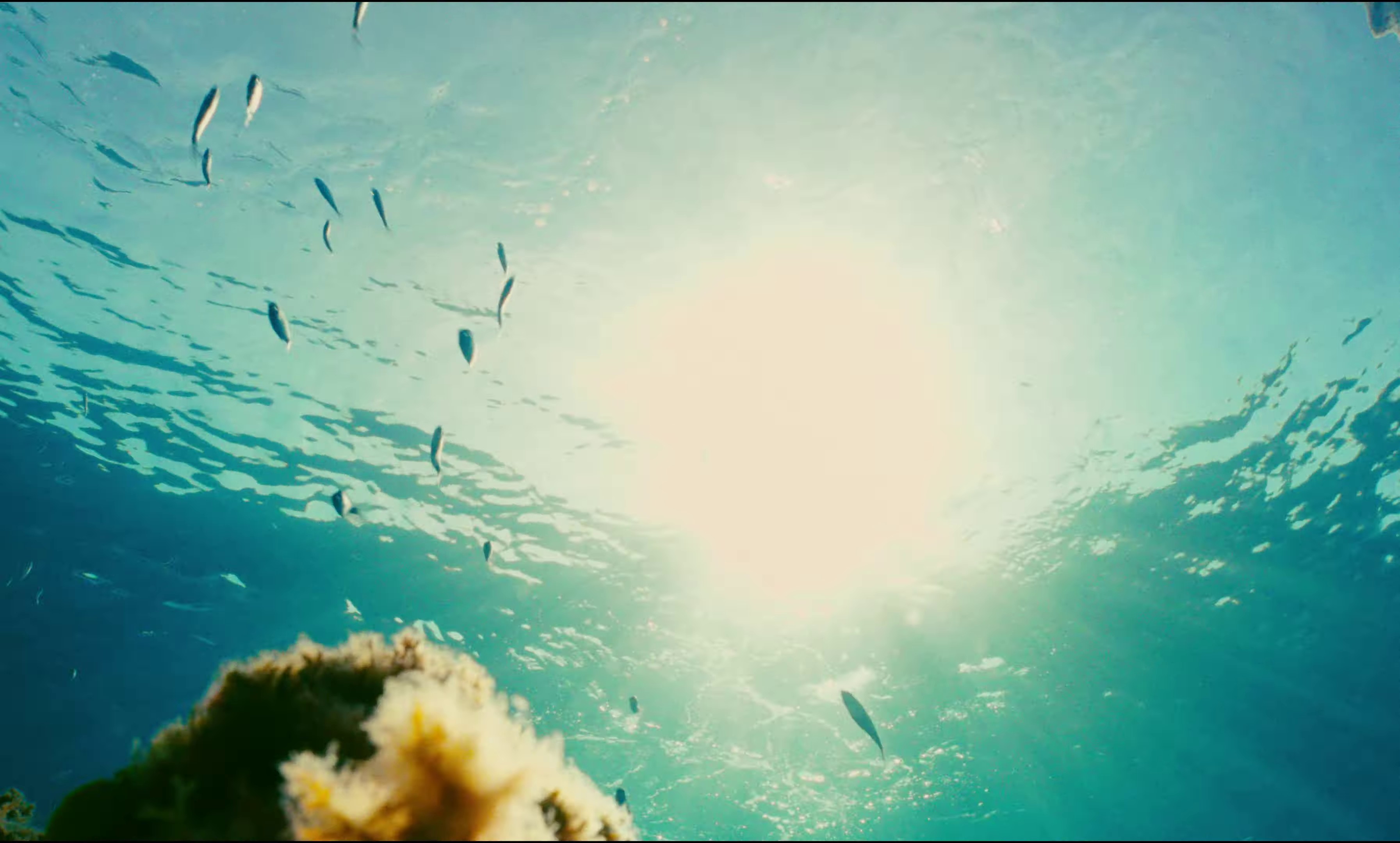 L'été (2023) —  shot,  lighting