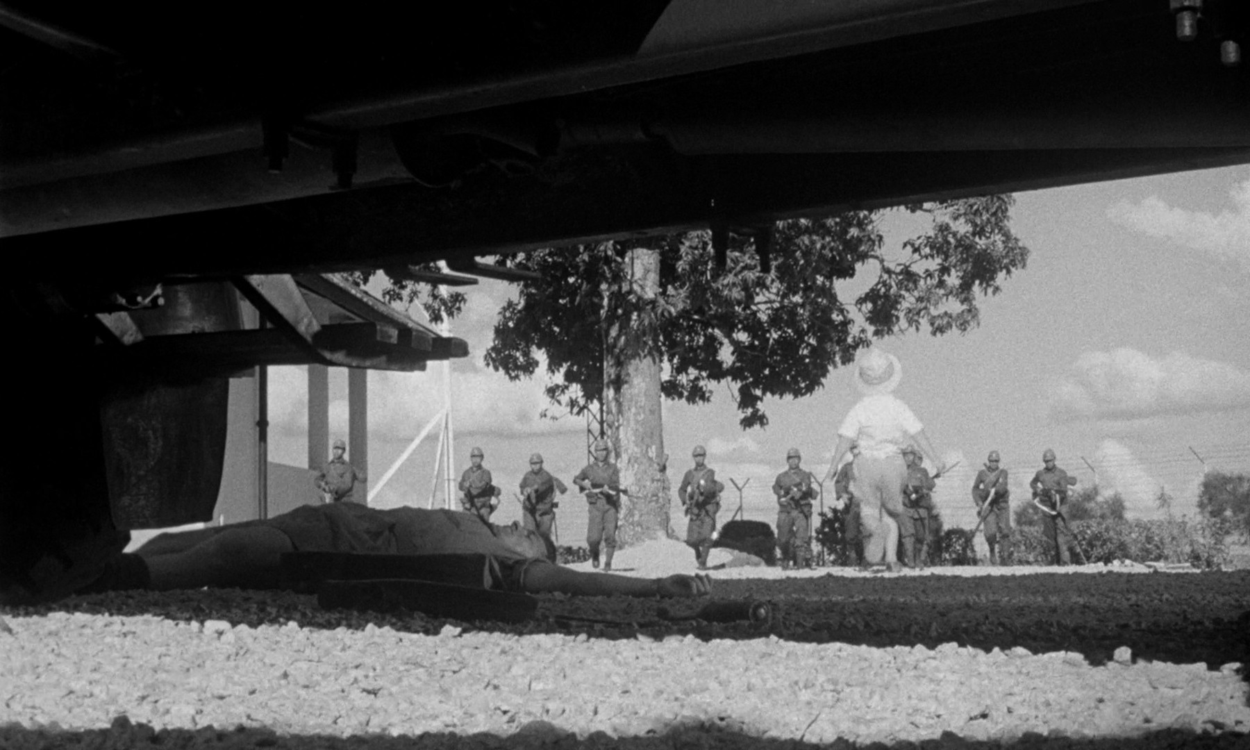 A Town Like Alice (1956) —  shot,  lighting