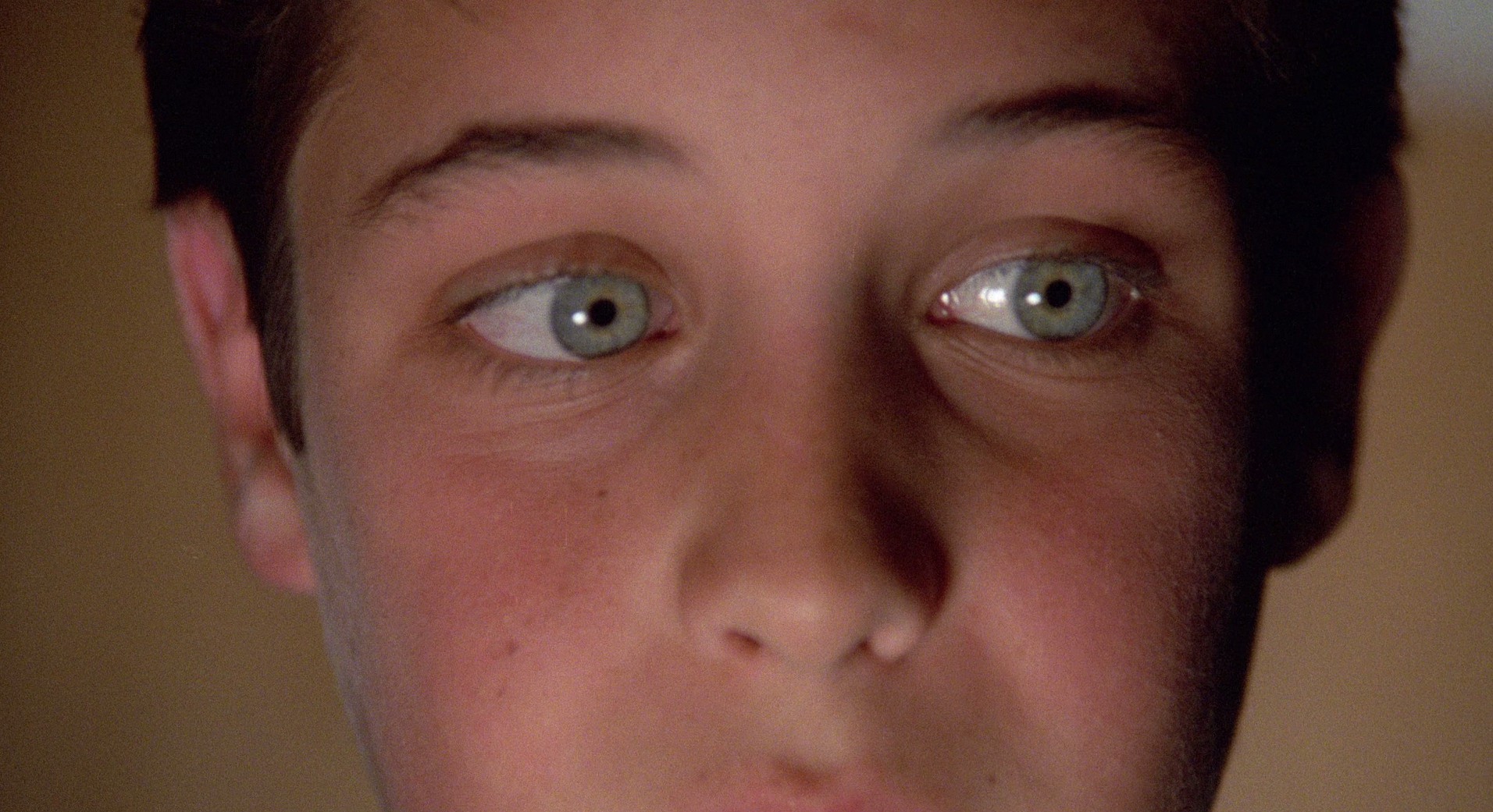 The Stuff (1985) —  shot,  lighting