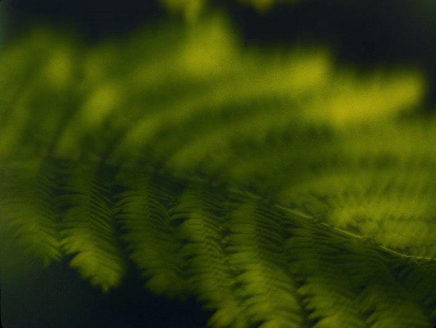 adidas TERREX | All Roads Lead To UTCT (2024) —  shot,  lighting