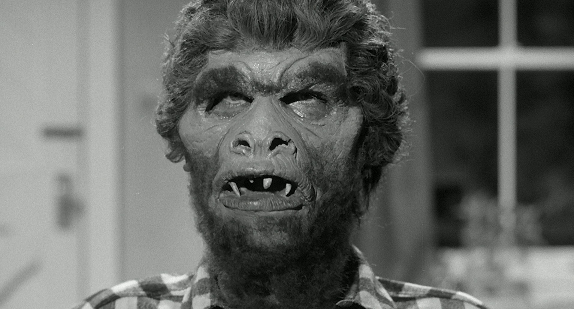 Monster on the Campus (1958) —  shot,  lighting