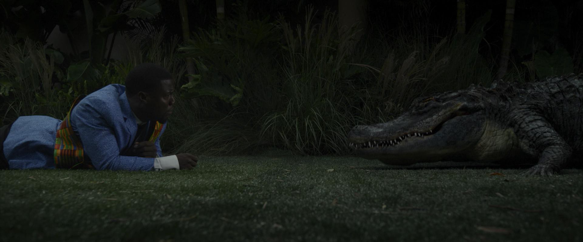 Ride Along 2 (2016) —  shot,  lighting