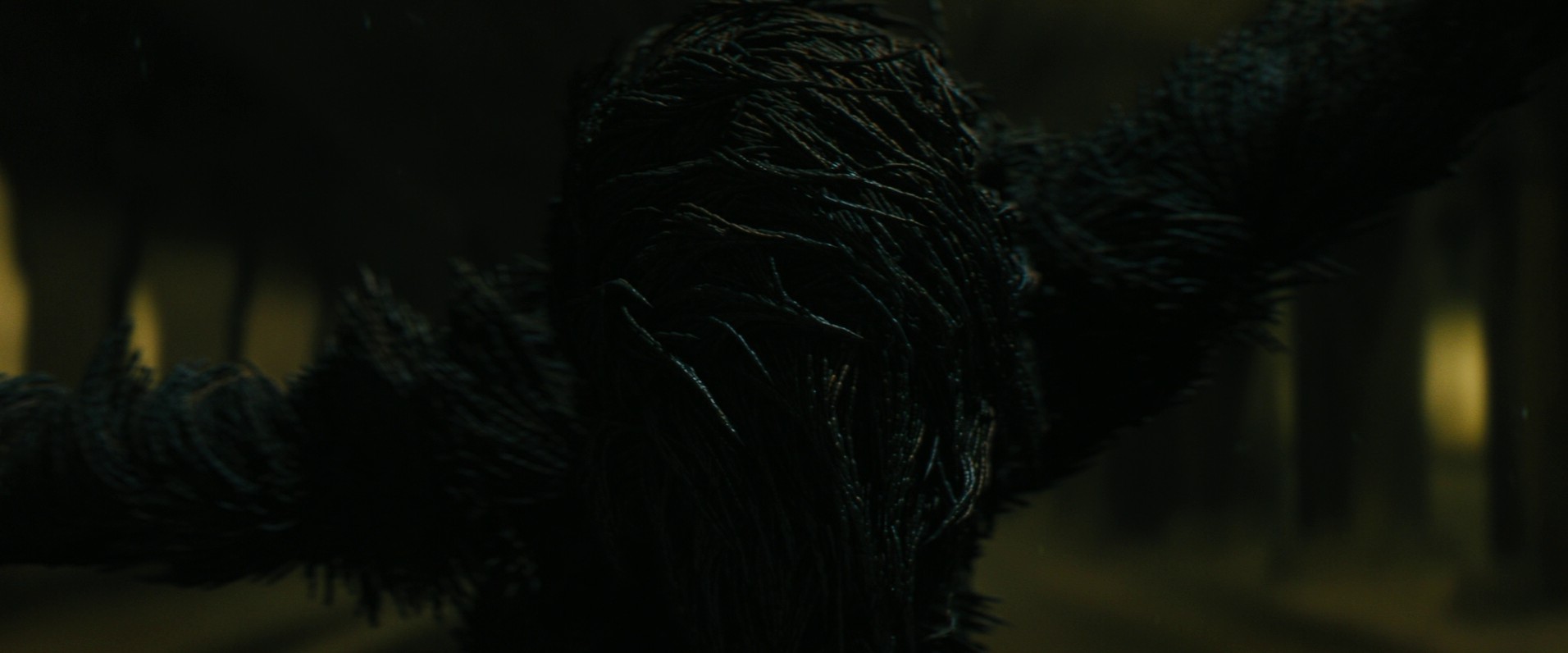 Captive State (2019) —  shot,  lighting