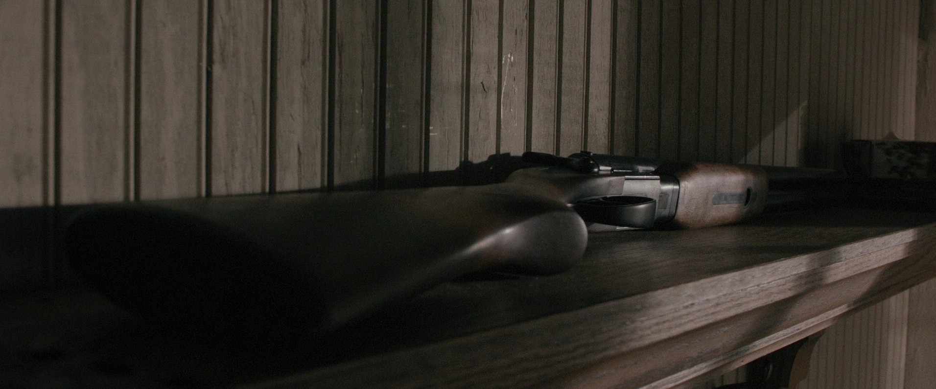 Maggie (2015) —  shot,  lighting