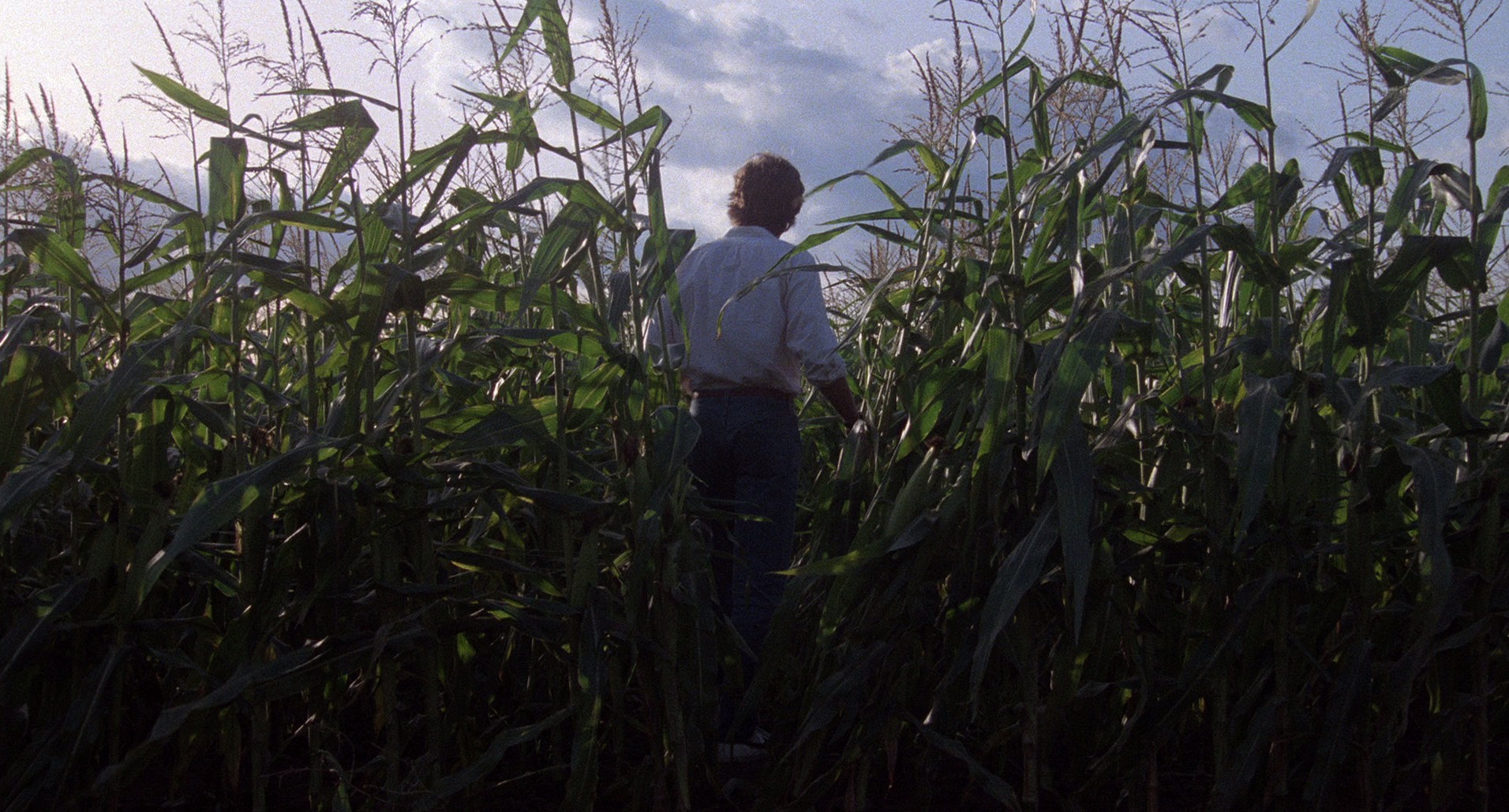 Children of the Corn (1984) —  shot,  lighting