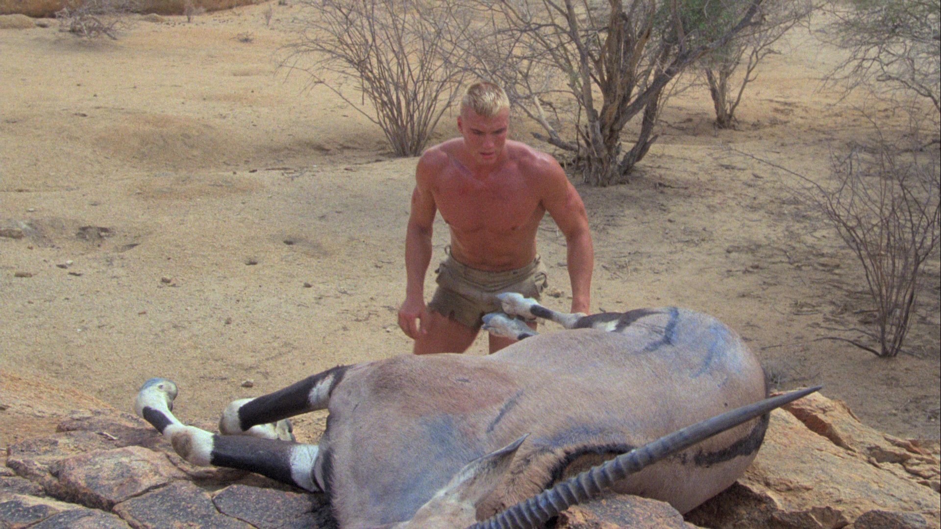 Red Scorpion (1988) —  shot,  lighting