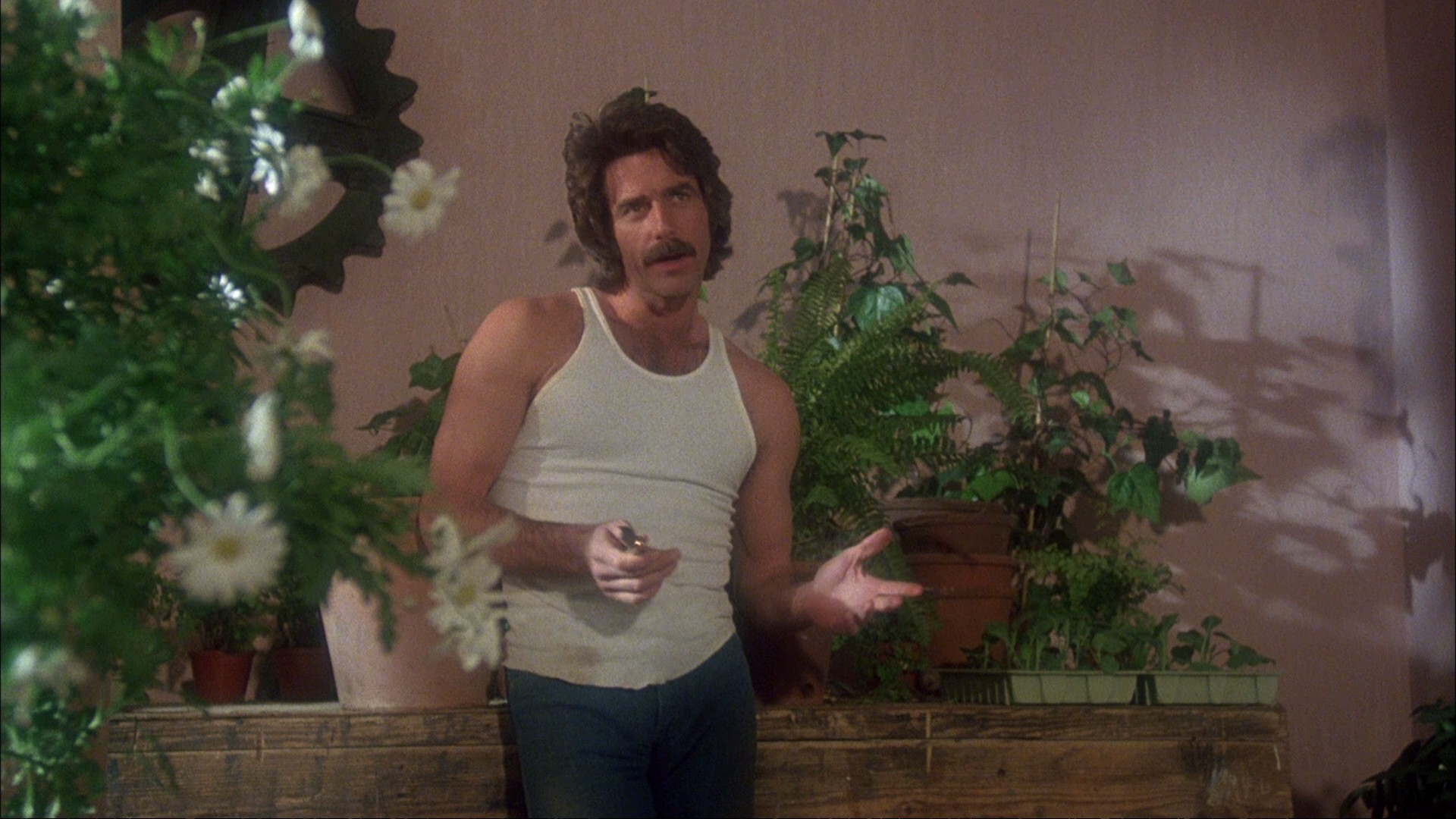 The Legacy (1979) —  shot,  lighting