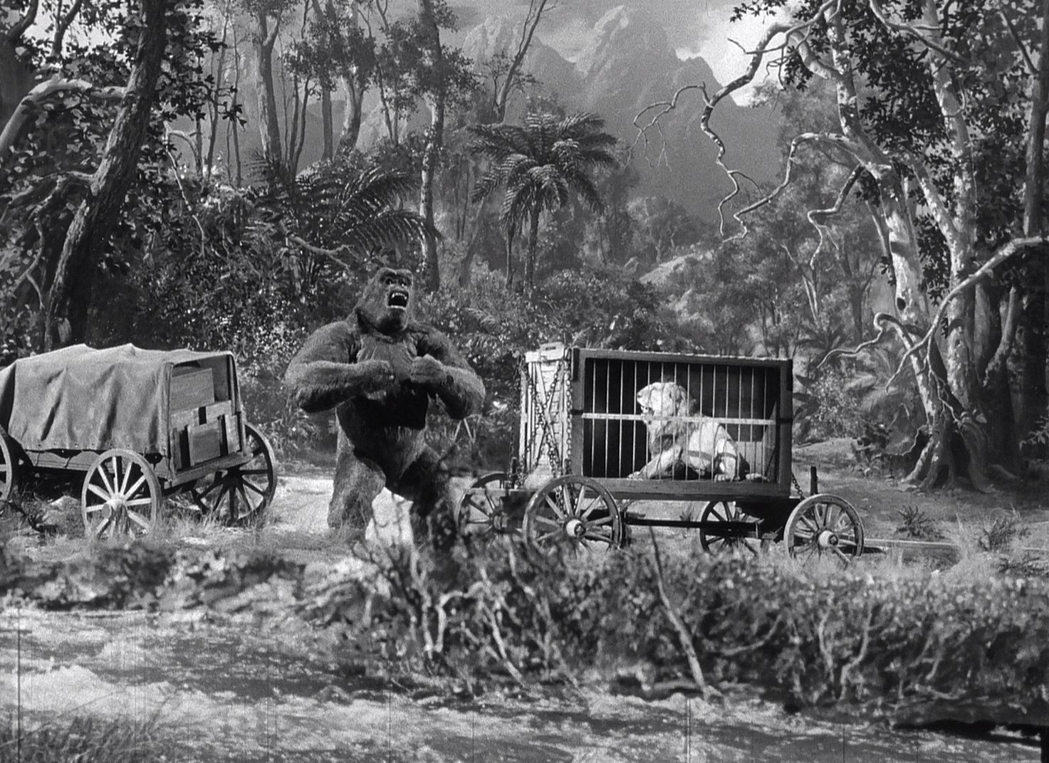 Mighty Joe Young (1949) —  shot,  lighting