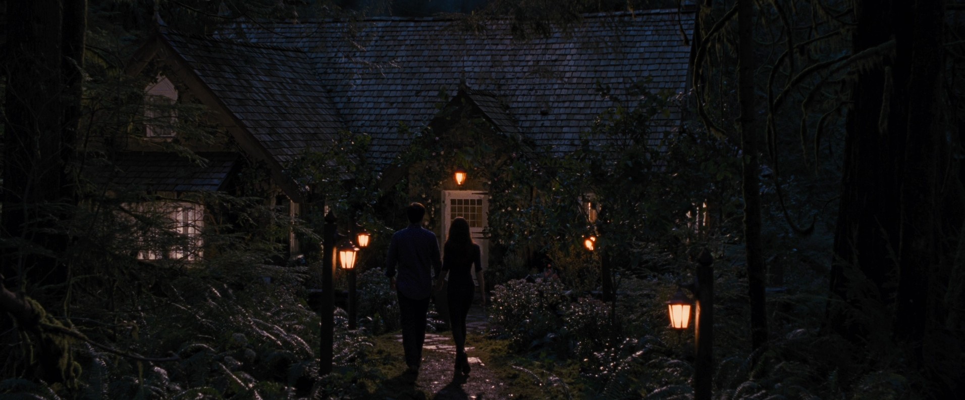 The Twilight Saga: Breaking Dawn - Part 2 (2012) —  shot,  lighting