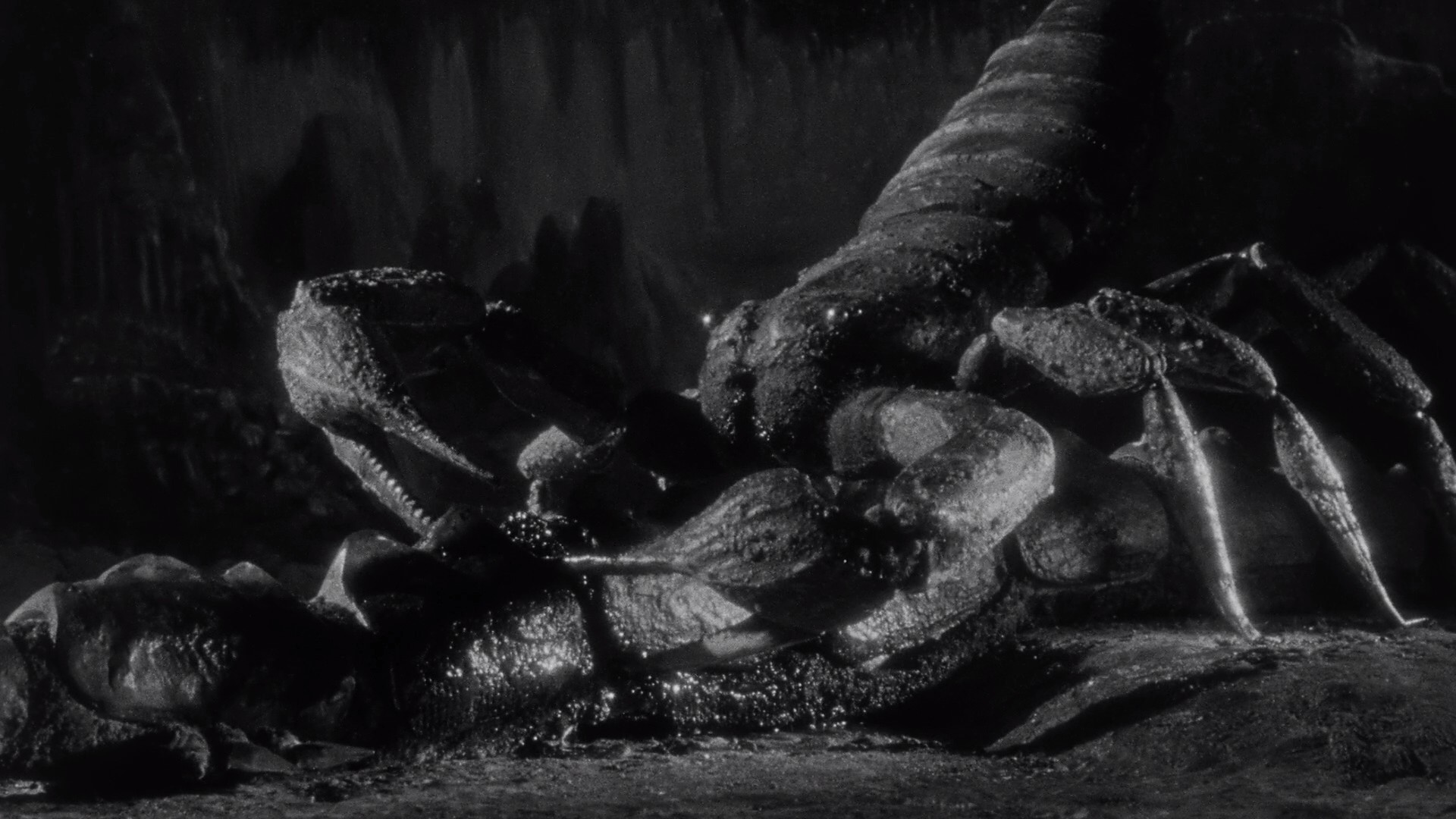 The Black Scorpion (1957) —  shot,  lighting