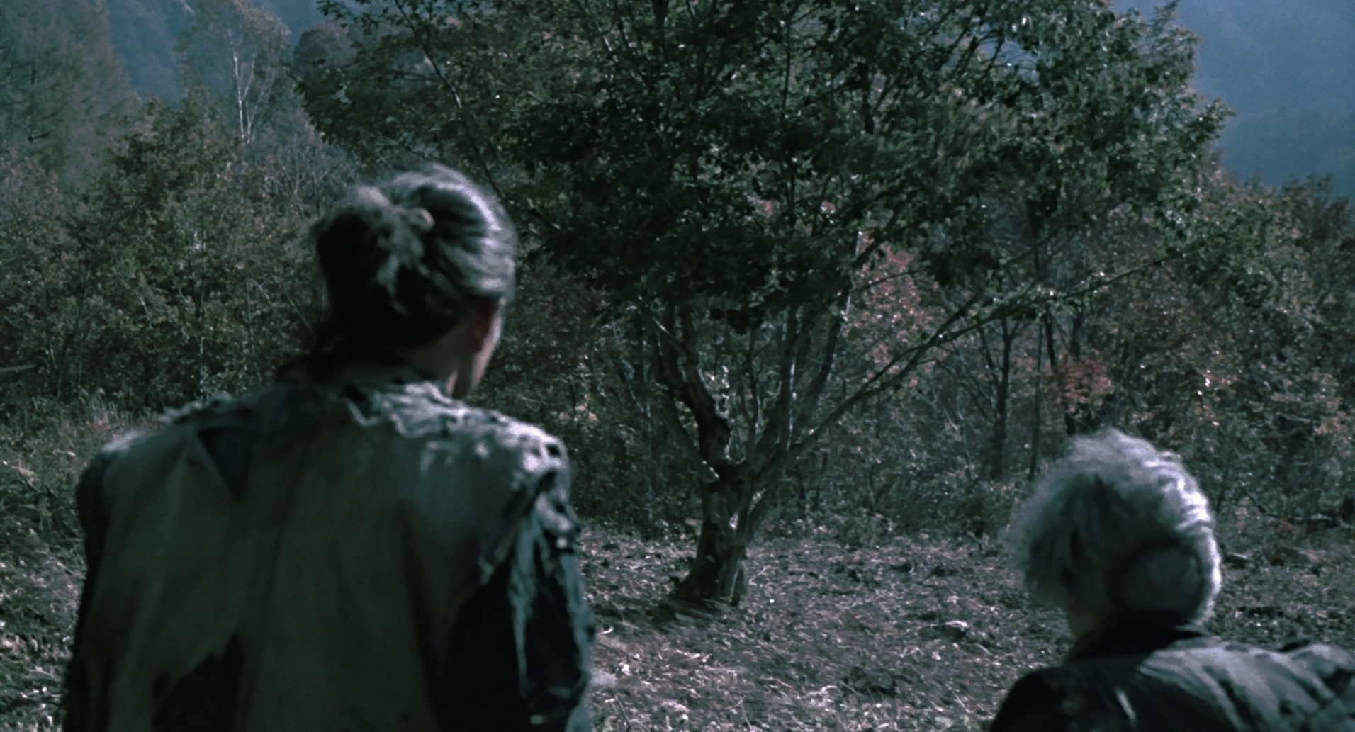 The Ballad of Narayama (1983) —  shot,  lighting