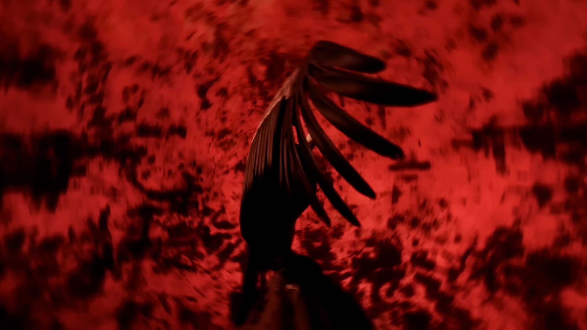 Laisse-moi tranquille (2024) —  shot,  lighting