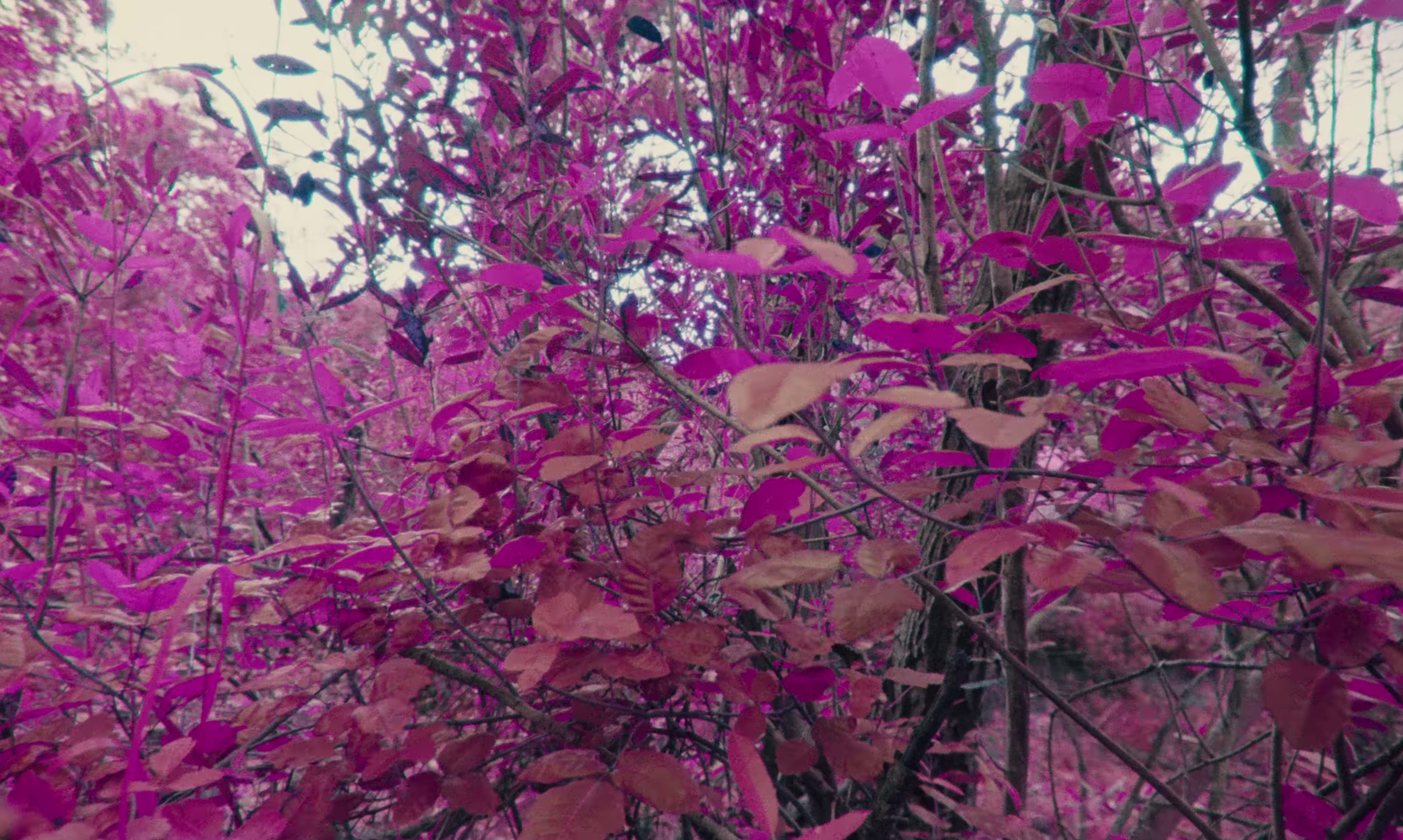 Pretty girls (2023) —  shot,  lighting