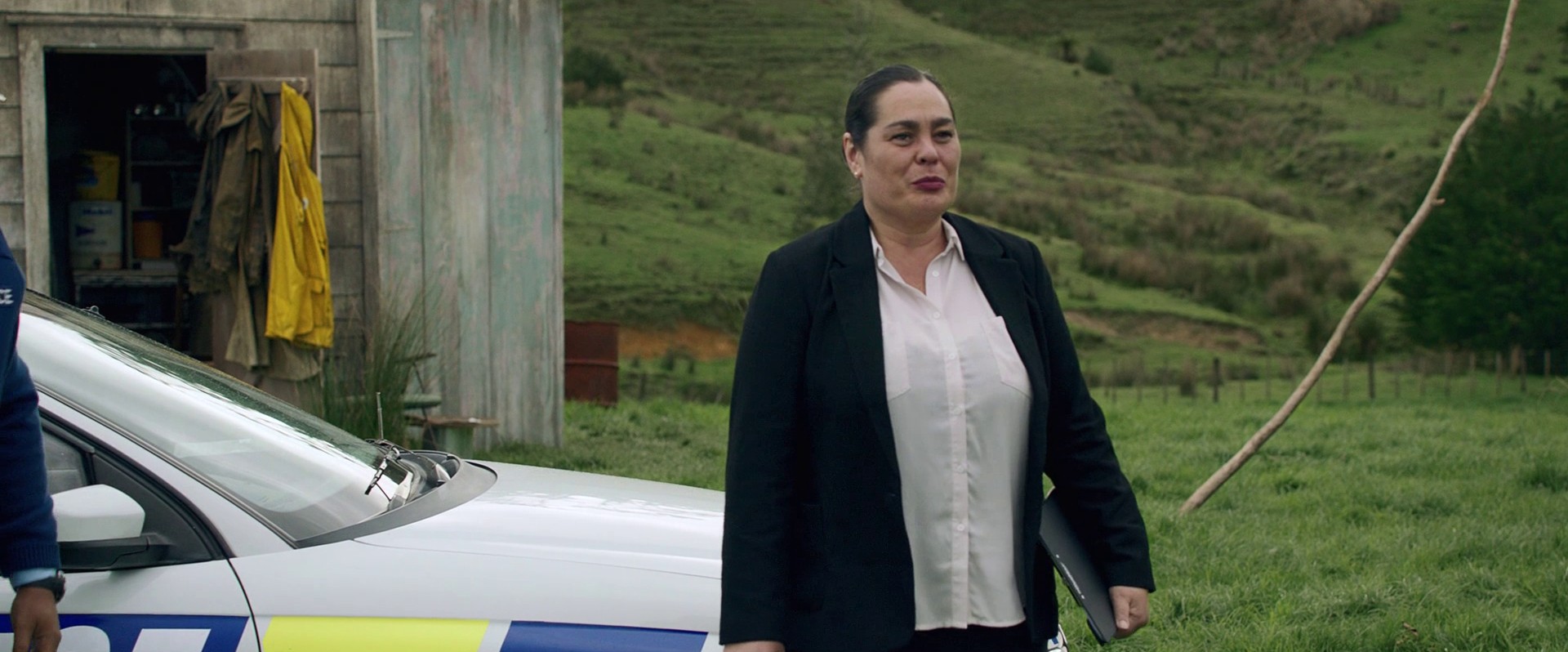 Hunt for the Wilderpeople (2016) —  shot,  lighting