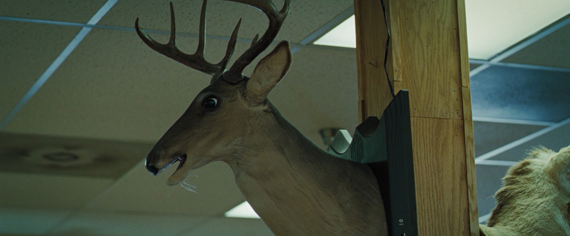 Sunshine Cleaning (2008) —  shot,  lighting