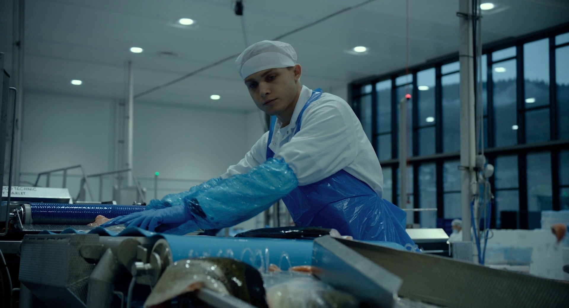 Norwegian Dream (2024) —  shot,  lighting