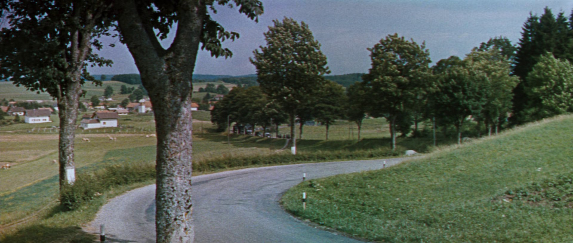 The Great Escape (1963) —  shot,  lighting