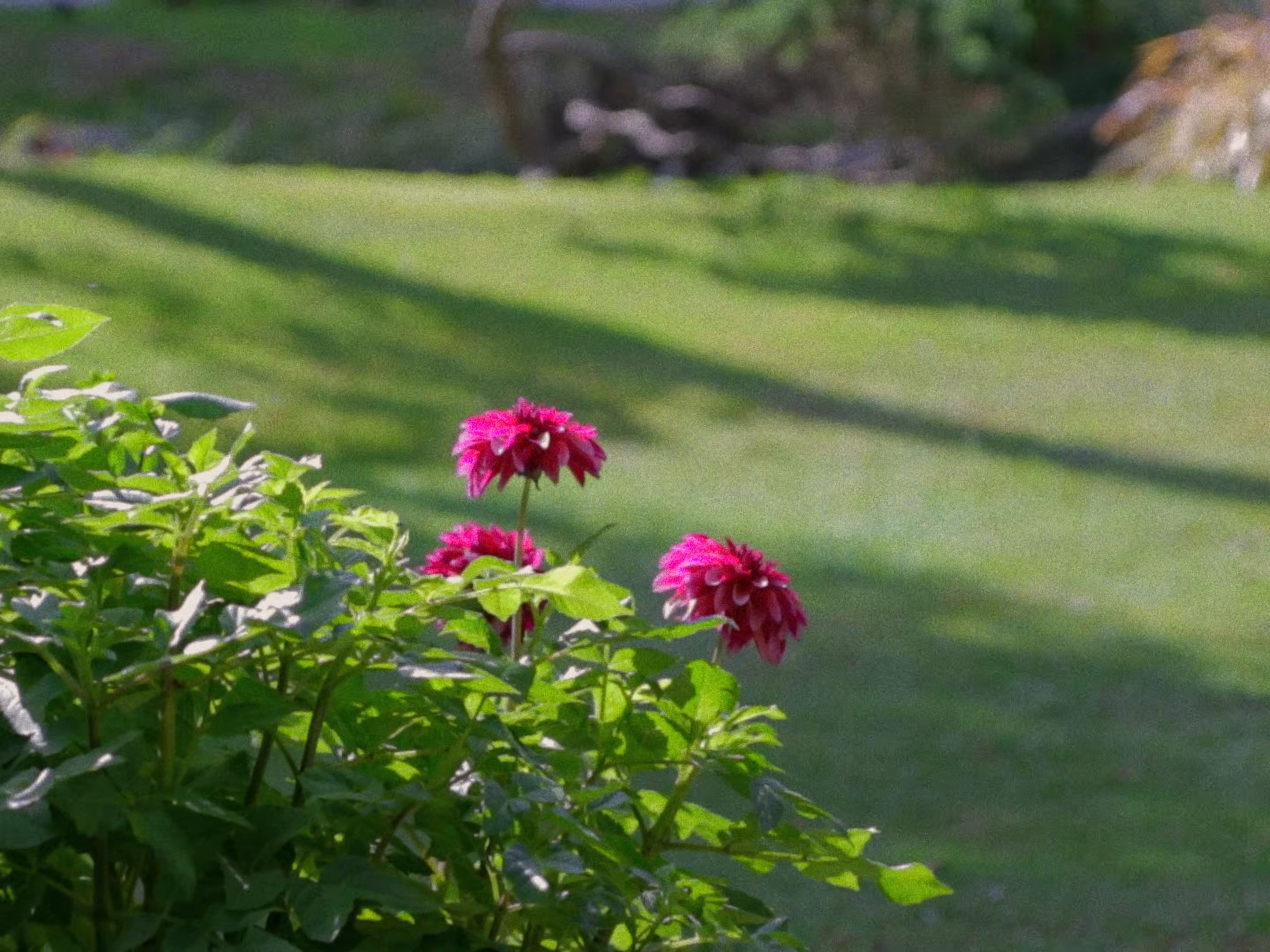 Par-delà (2025) —  shot,  lighting