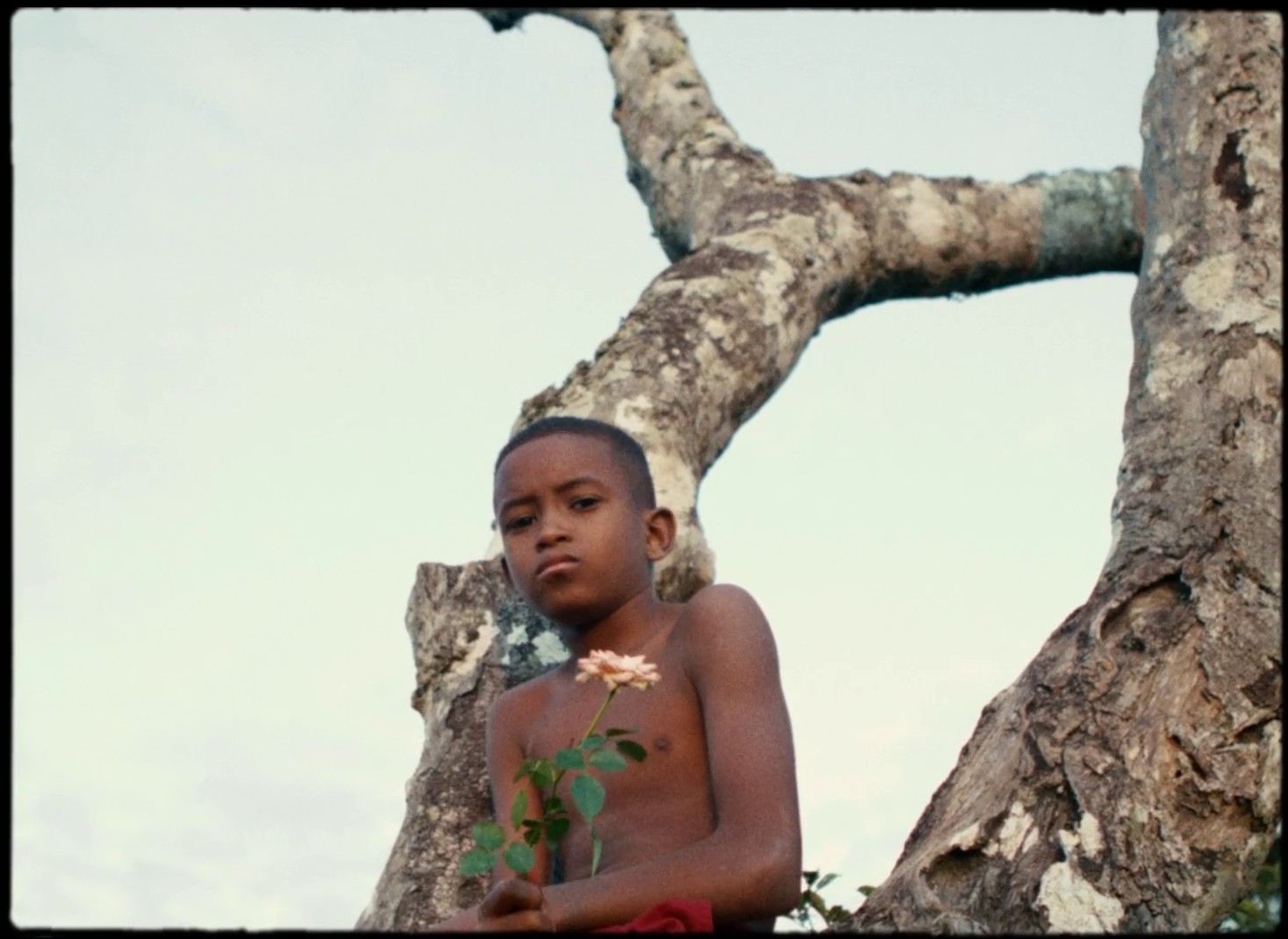 Ciclos (2020) —  shot,  lighting