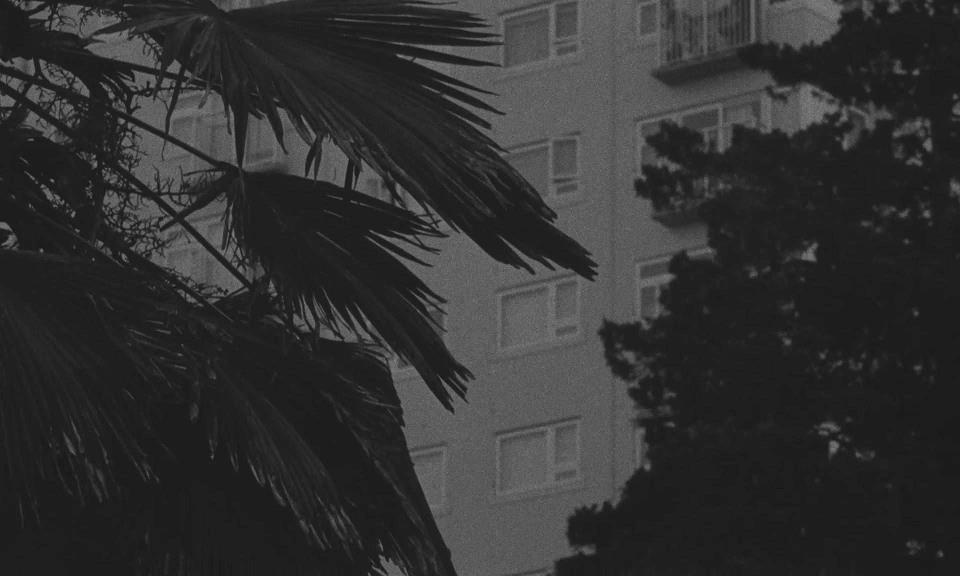 I Thought the World of You (2022) —  shot,  lighting