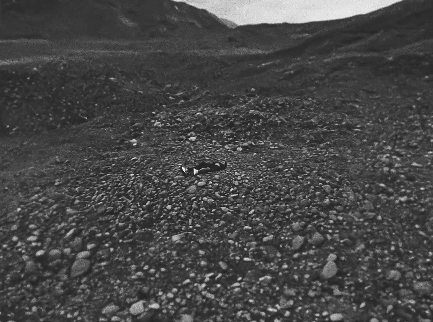 Now, Build More (2024) —  shot,  lighting