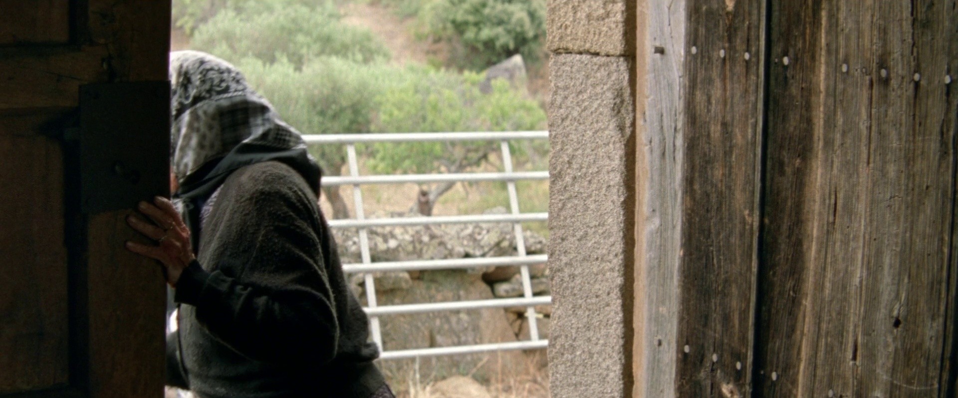 Arabian Nights: Volume 2 - The Desolate One (2016) —  shot,  lighting