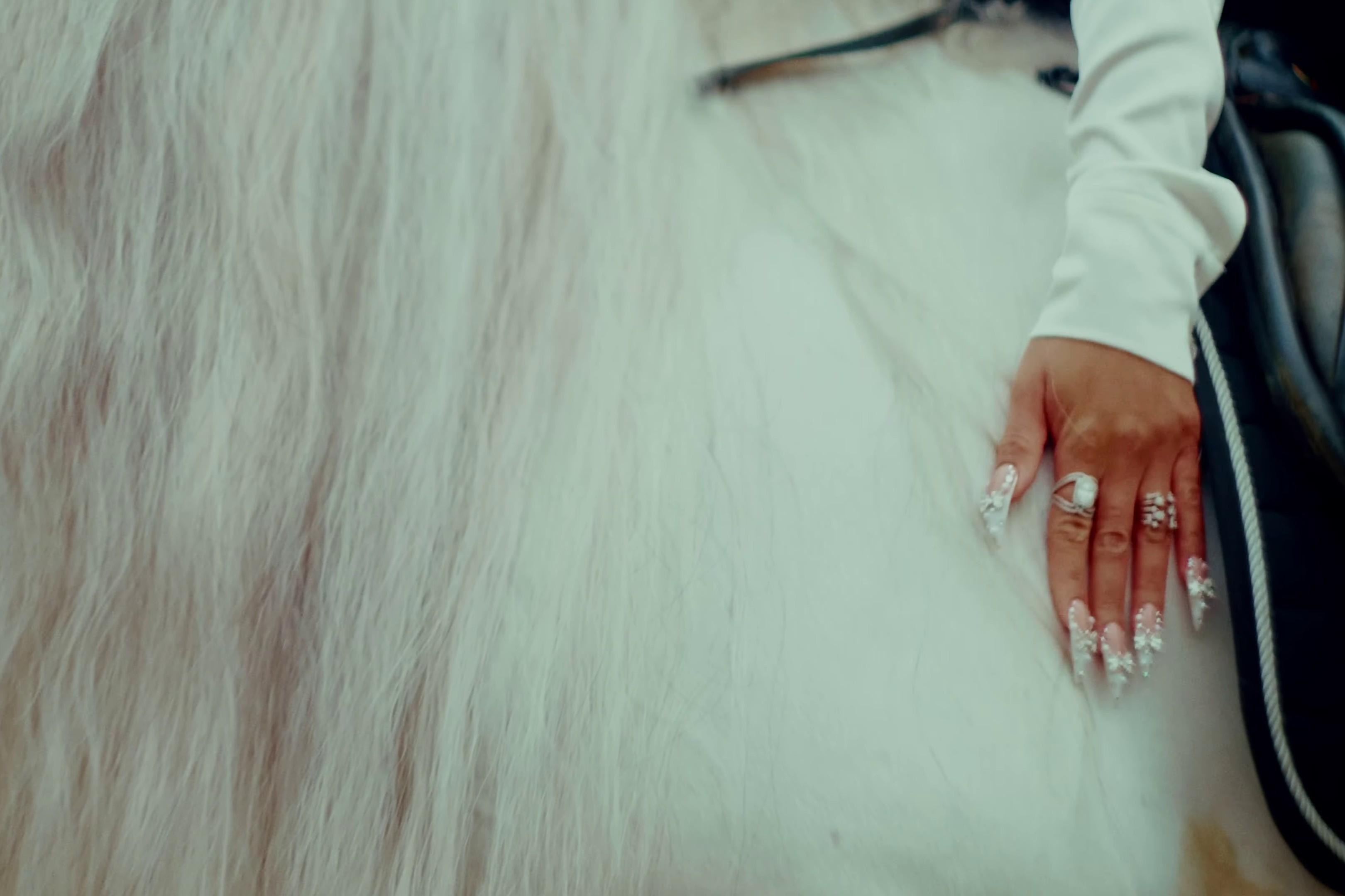 RICHTIVITIES (2024) —  shot,  lighting