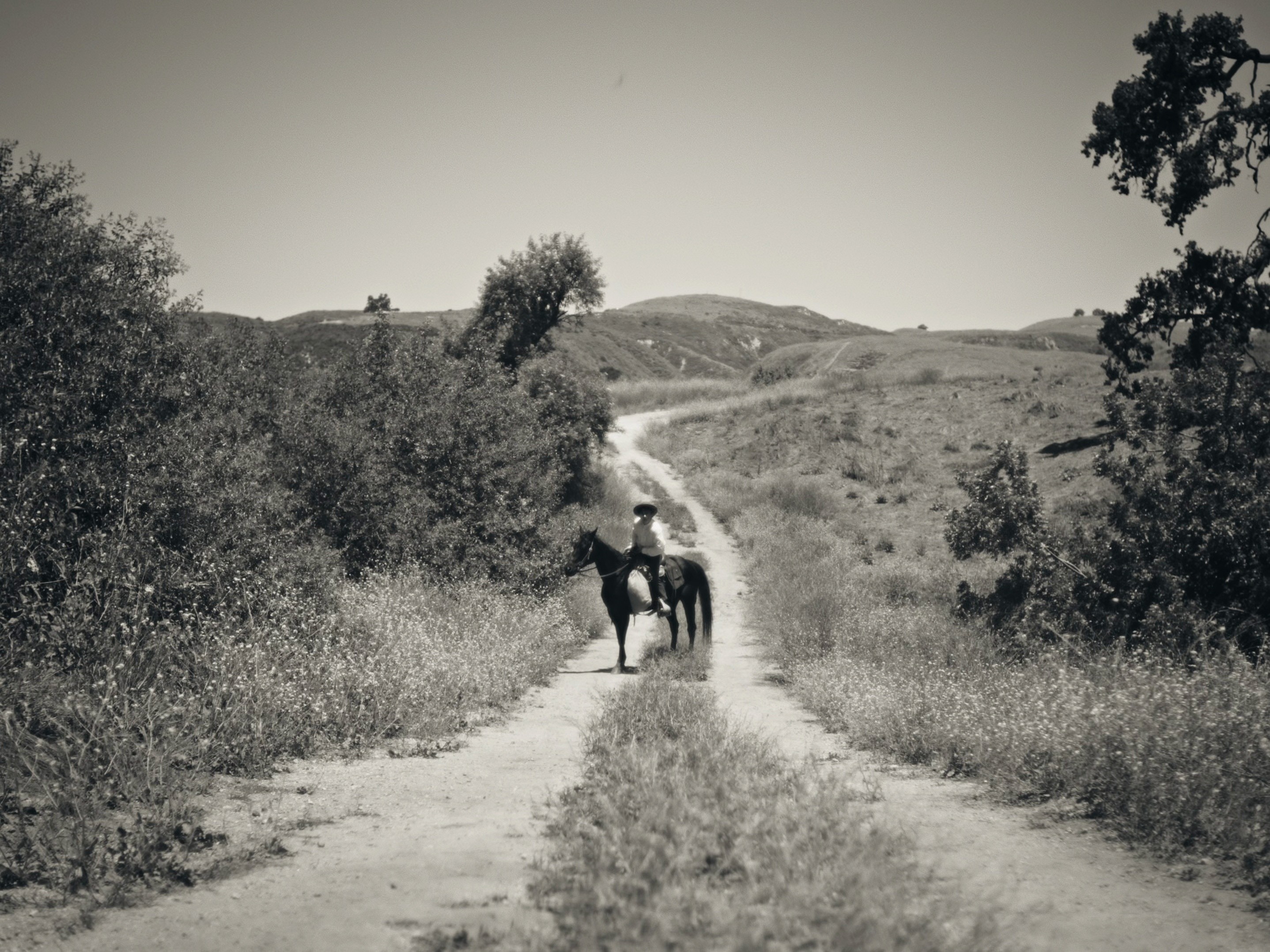 Abraham's Boys (2025) —  shot,  lighting