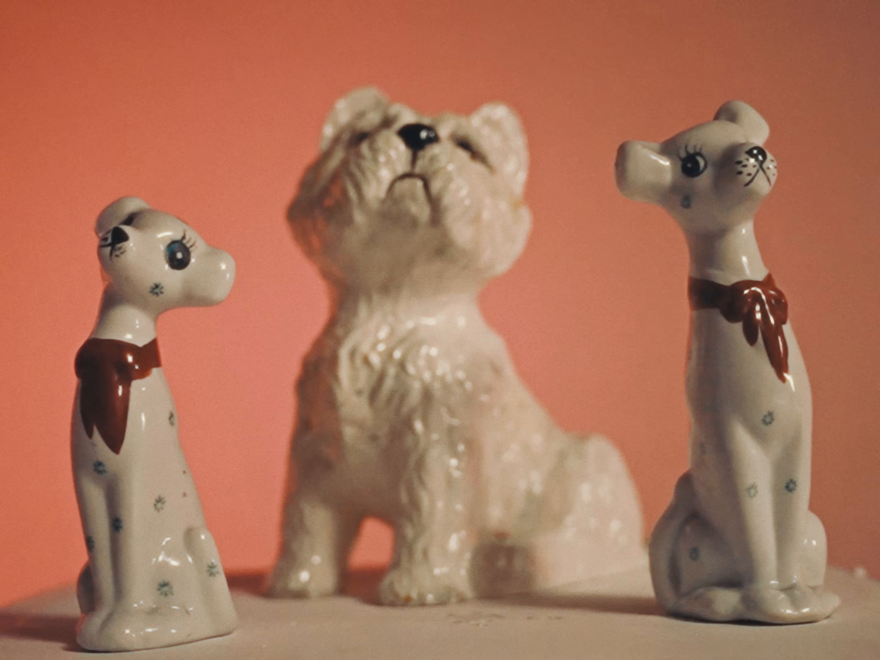 dog (2024) —  shot,  lighting