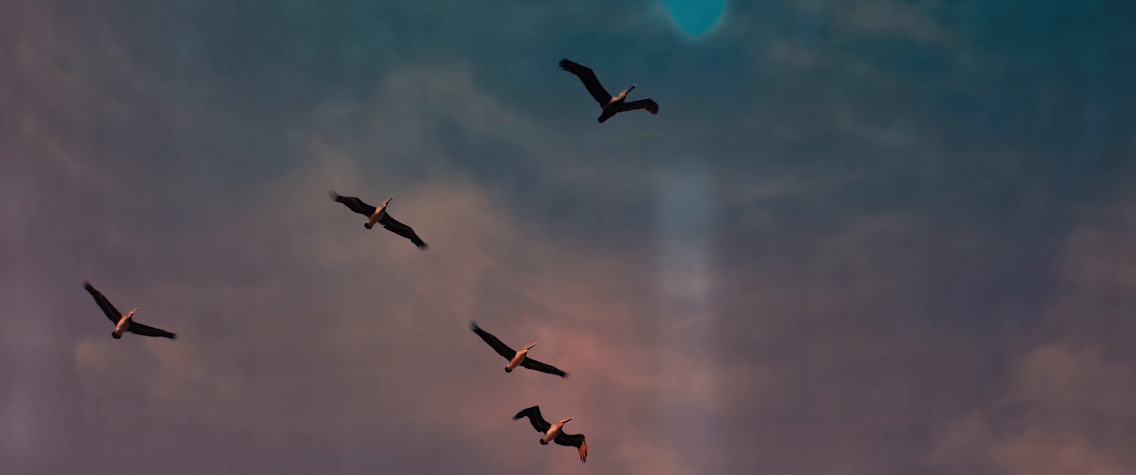 Comfortable (2025) —  shot,  lighting