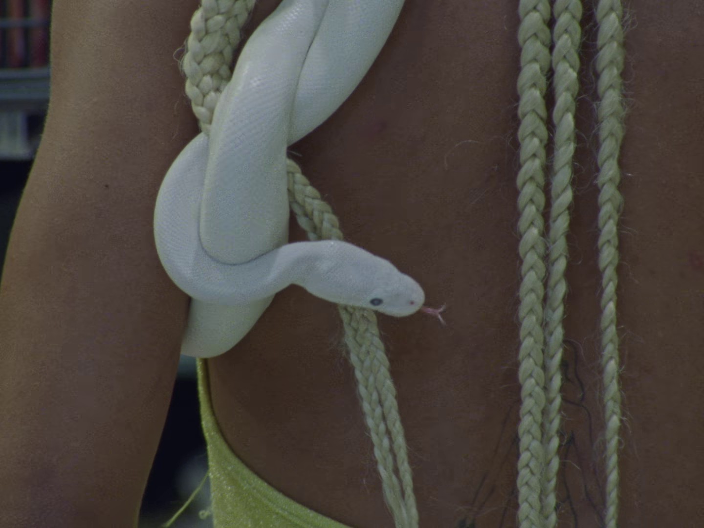 GIFT HORSE (2024) —  shot,  lighting