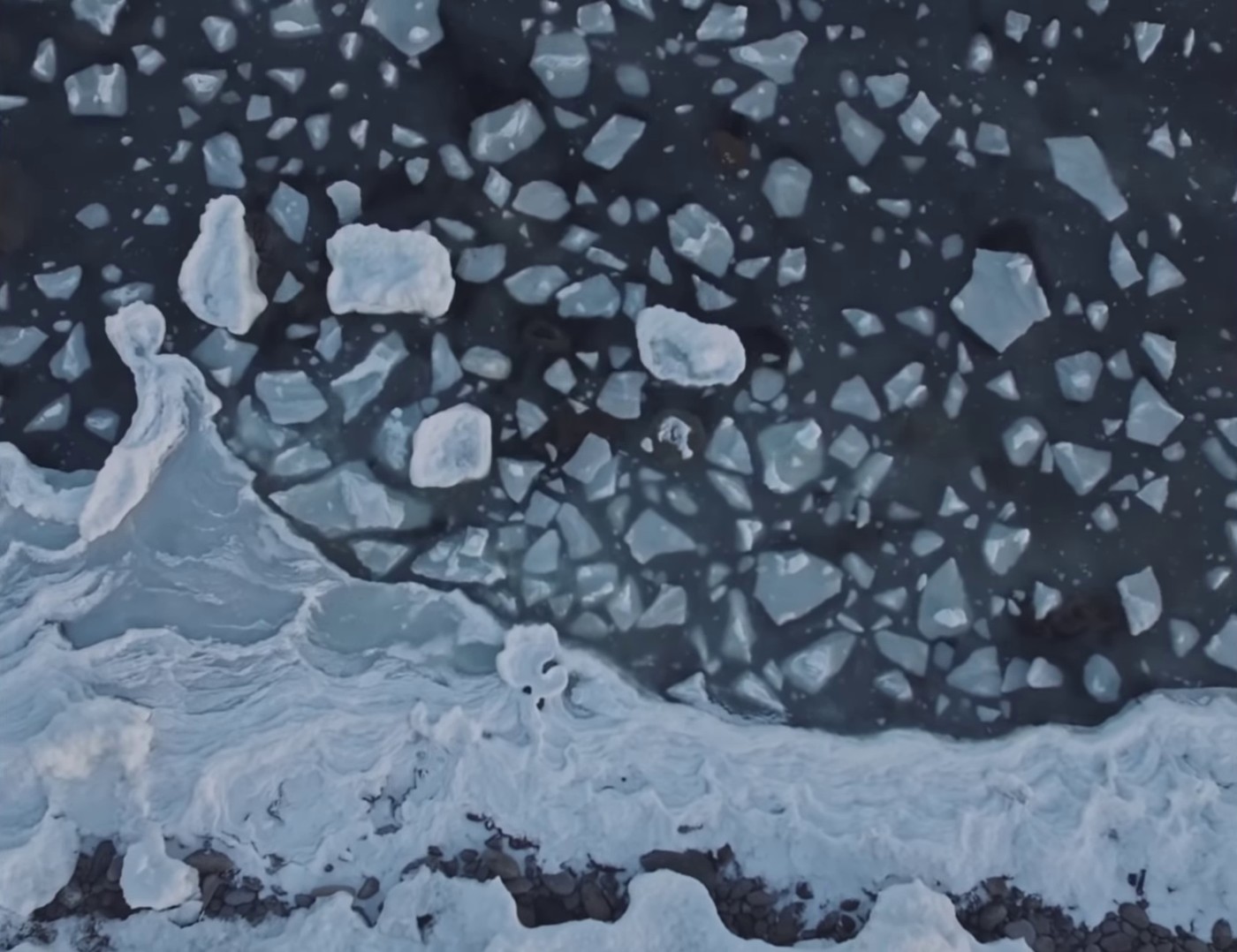 EASY PREY (2022) —  shot,  lighting