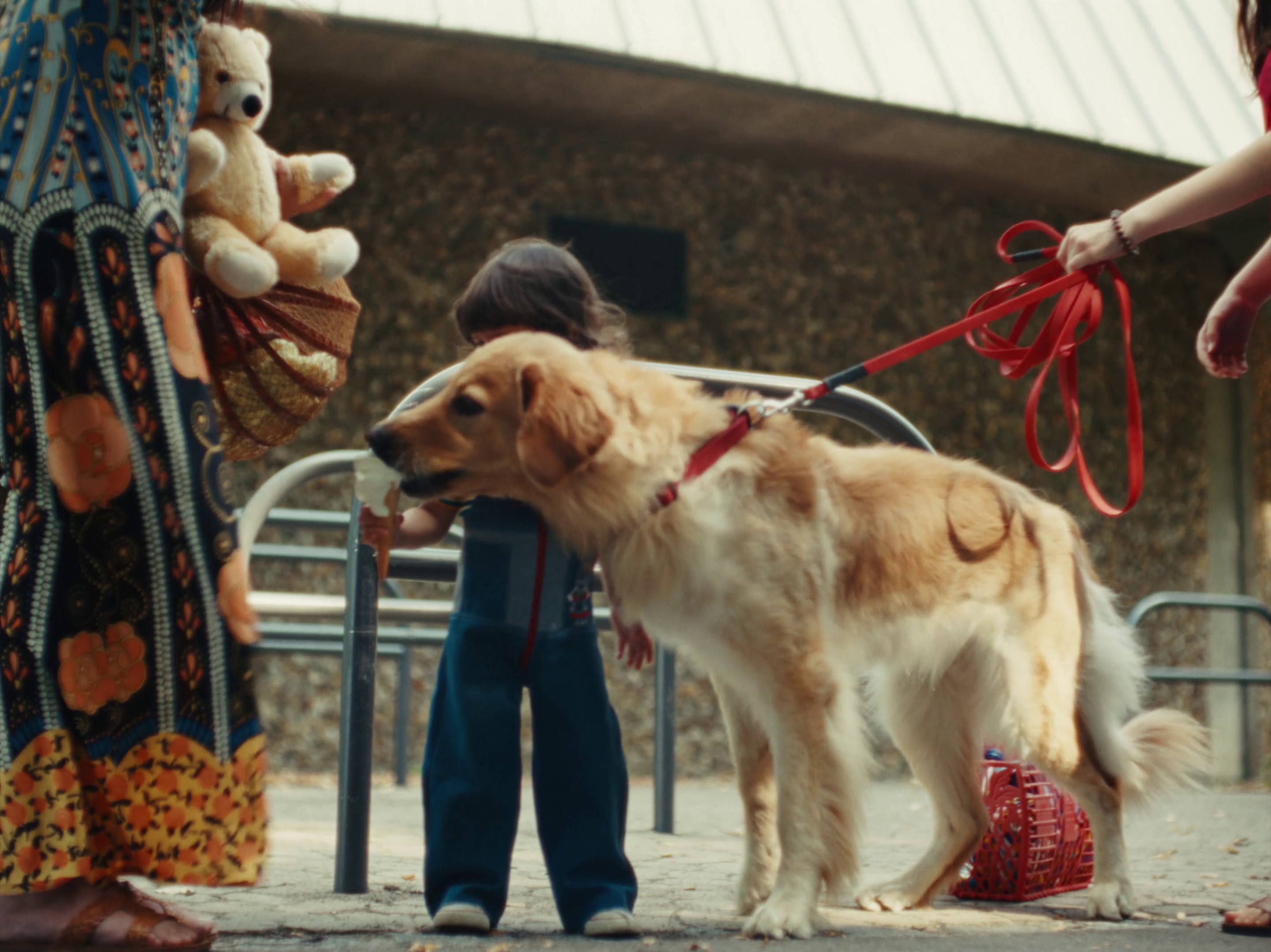 DM - 50 YEARS (2024) —  shot,  lighting