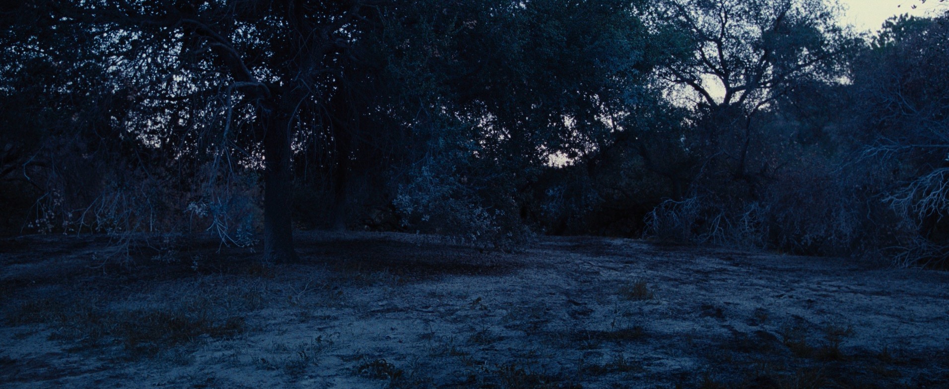 Nocturnal Animals (2016) —  shot,  lighting