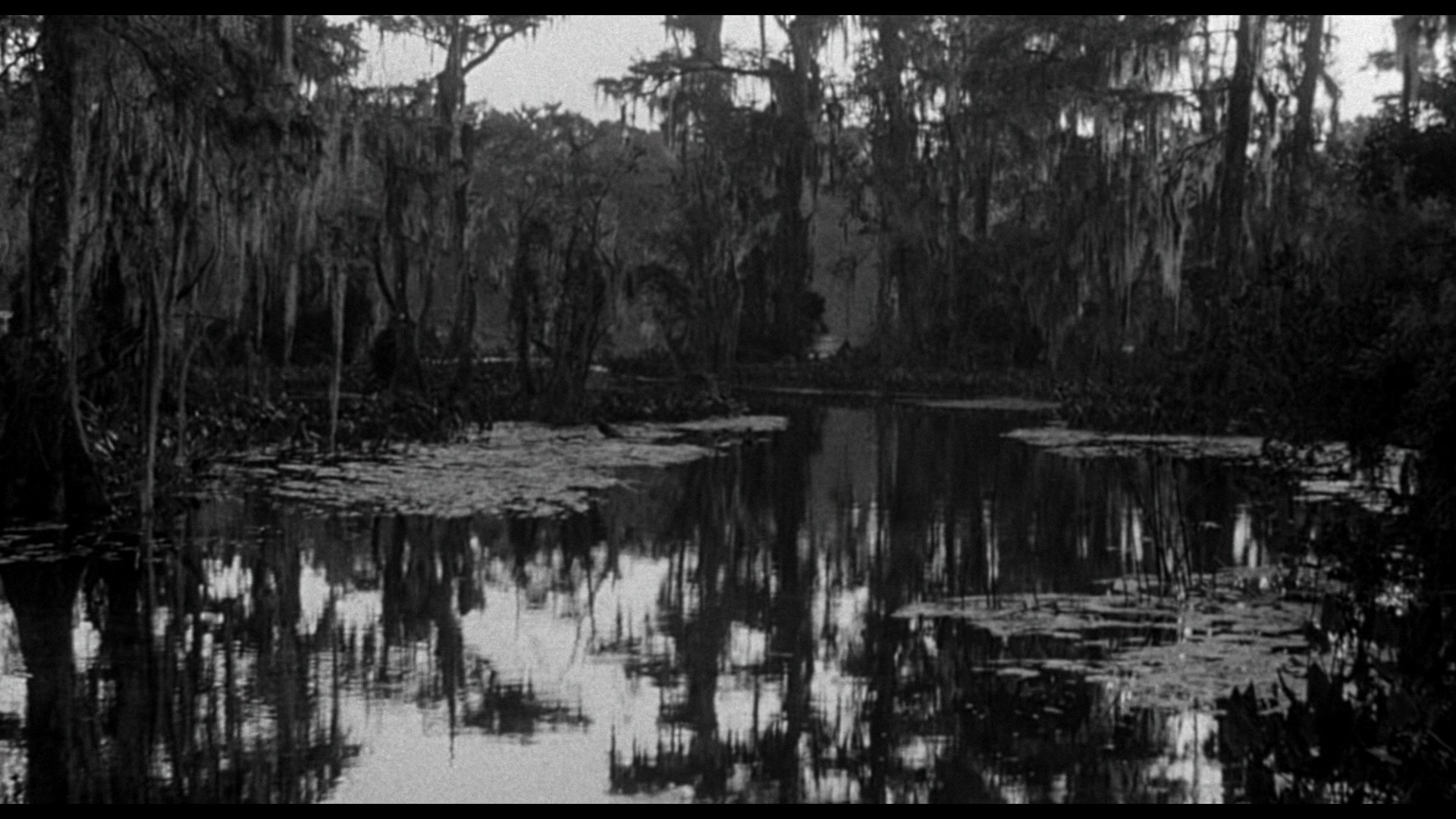 Creature from the Black Lagoon (1954) —  shot,  lighting