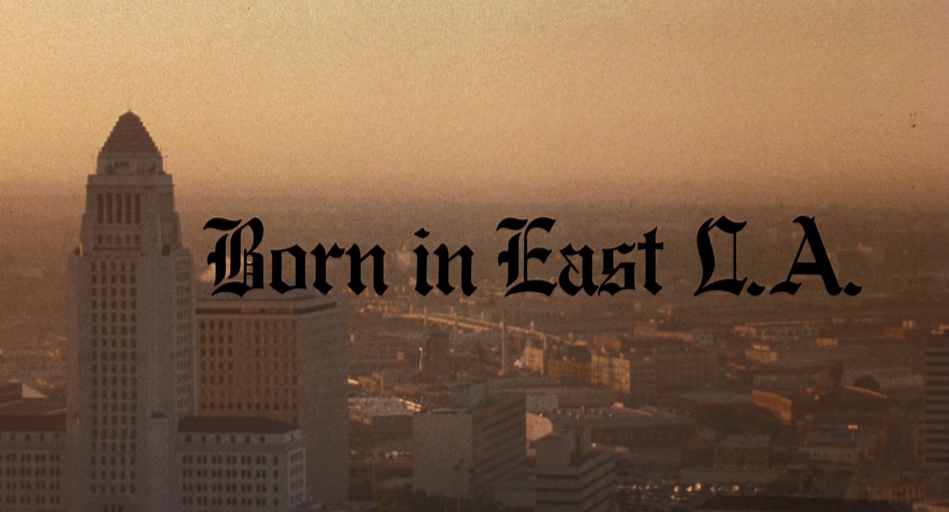 Born in East L.A. (1987) —  shot,  lighting