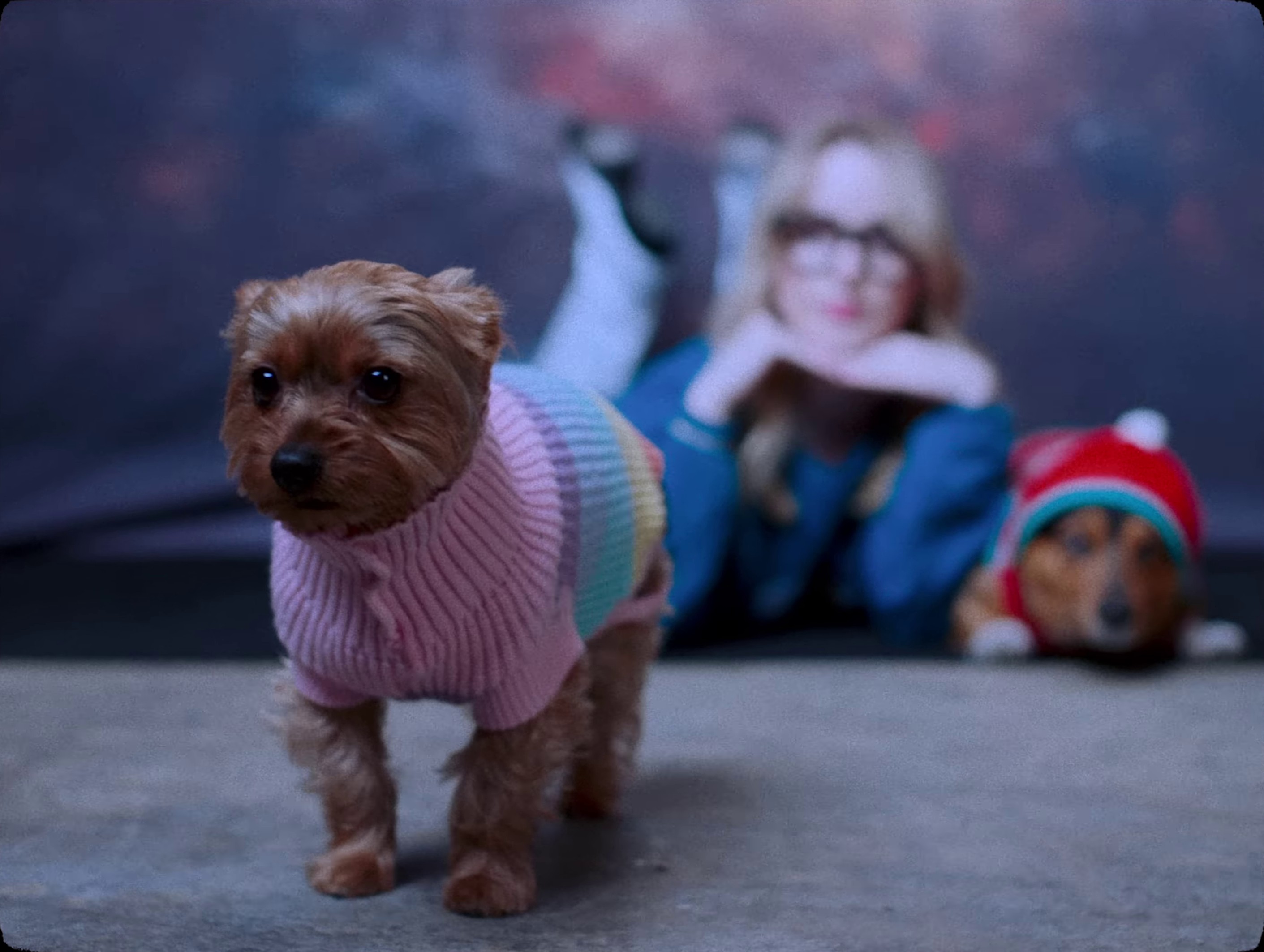 Gentleman (2024) —  shot,  lighting